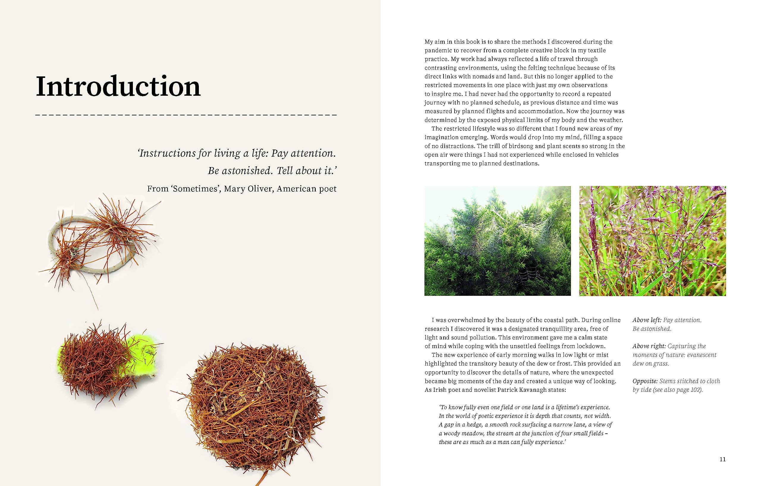 Textile Creativity Through Nature: Felt, Texture, and Stitch - Image 3