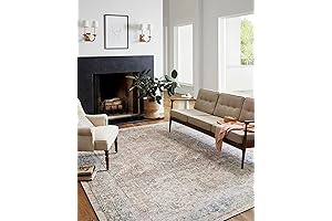 Loloi Chris Loves Julia Area Rug