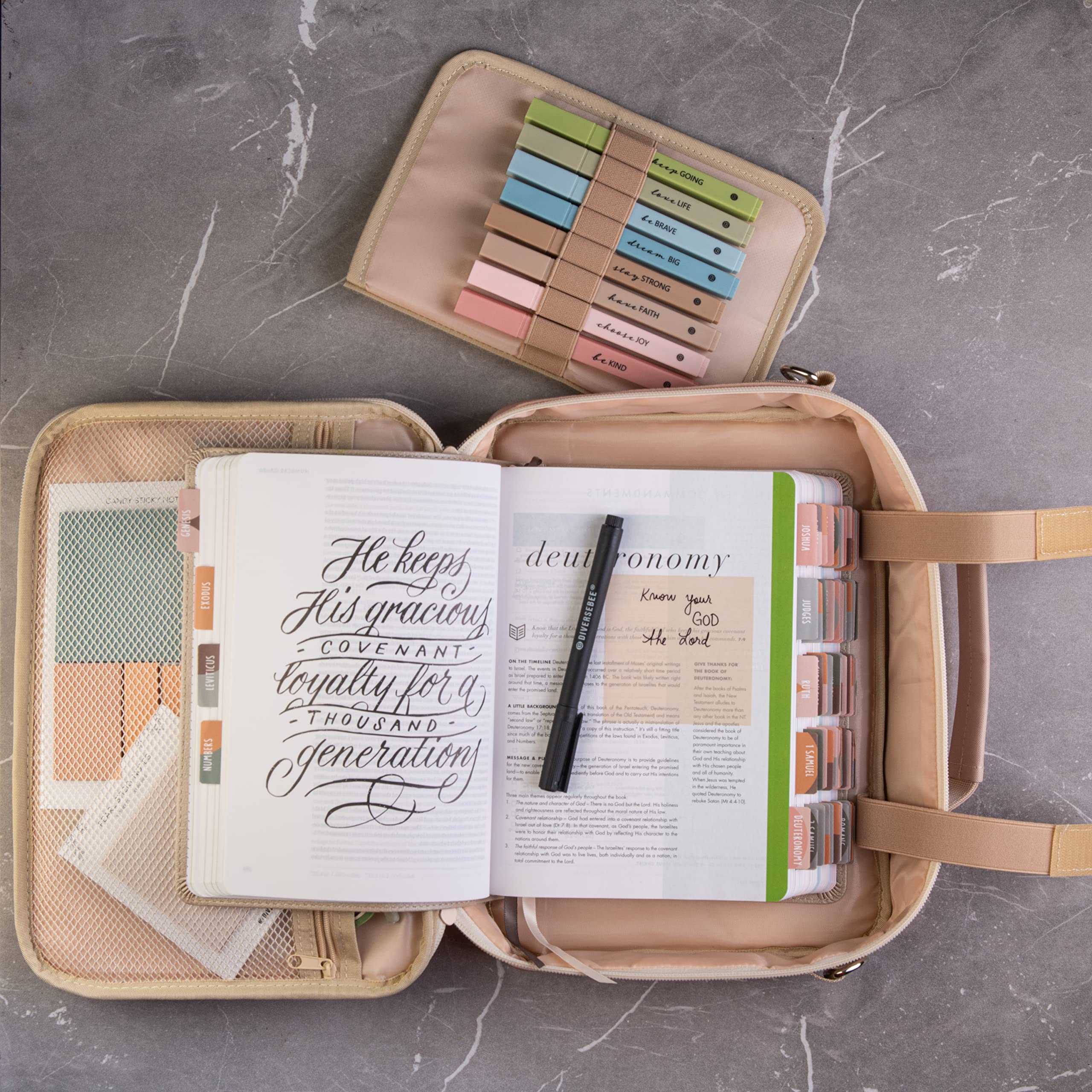 DiverseBee Grande copertura per bibbia con manici e tracolla, custodia per il trasporto della Bibbia con cerniera, per donne, ragazze, bambini, borsa per bibbia, copertina per libri biblici, accessori