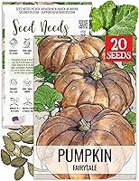 Vista 15 de Seed Needs Semillas de calabaza para plantar calabazas Jarrahdale azules, reliquia sin OMG y semilla de Cucurbita Maxima sin tratar para plantar un