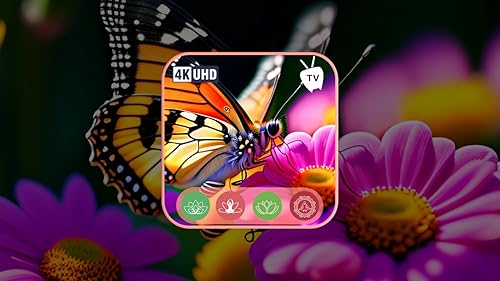 Lullaby Wings-Butterfly Lullaby - músicas calmantes para um sono sem estresse, meditação e relaxamen