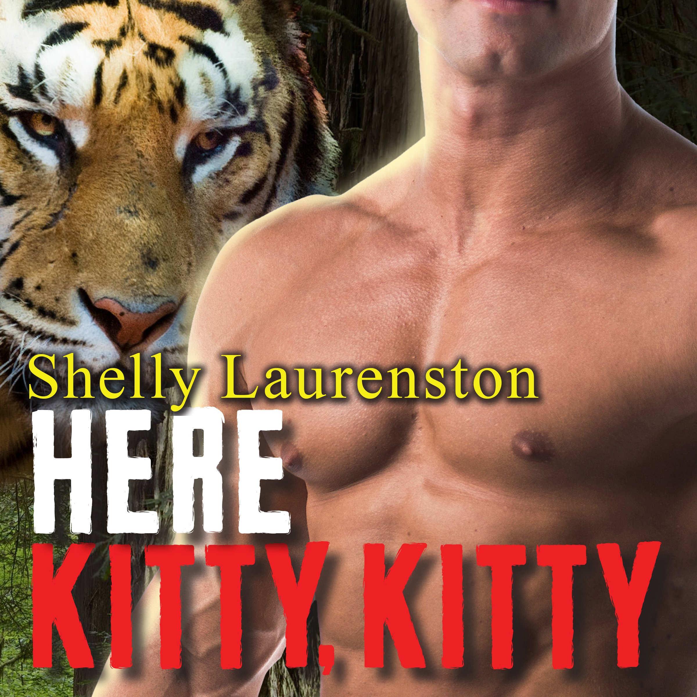 Cover art for Here Kitty, Kitty
