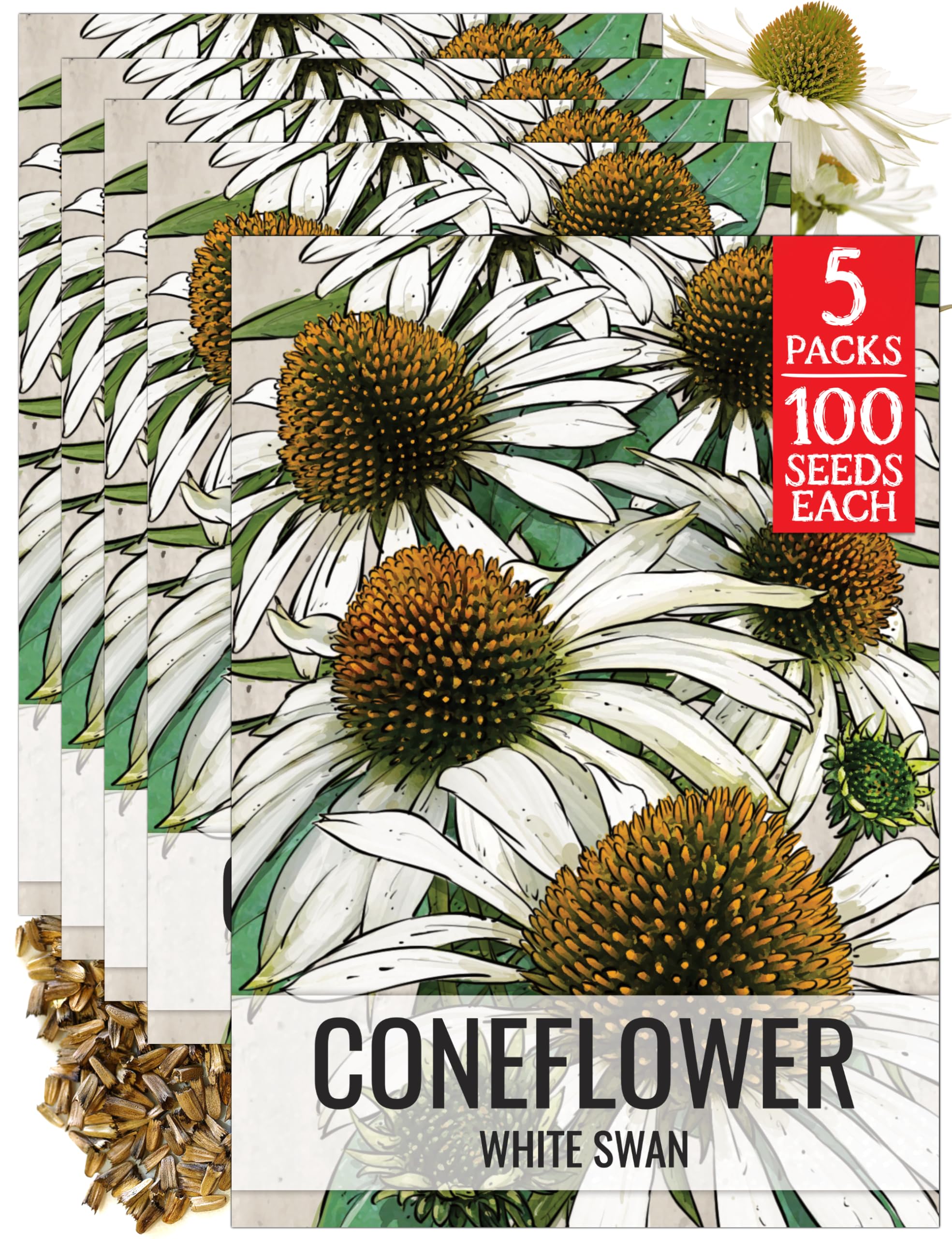 Seed Needs White Swan Coneflower Seeds