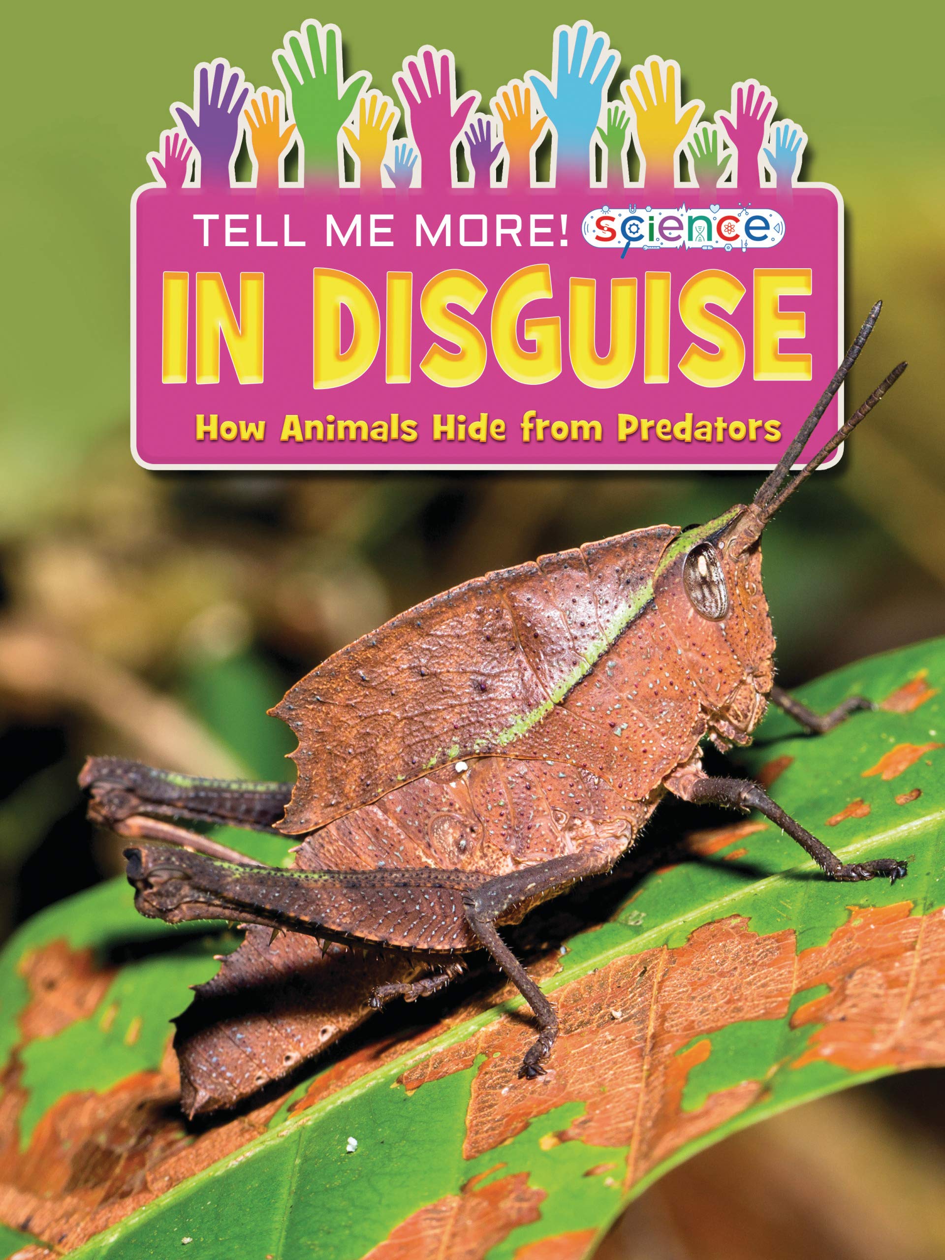 In Disguise: How Animals Hide from Predators