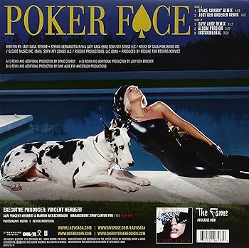 Lady Gaga Poker Face レディー・ガガ 12インチレコード Lady Gaga Poker Face レディー・ガガ 12インチレコード LADY