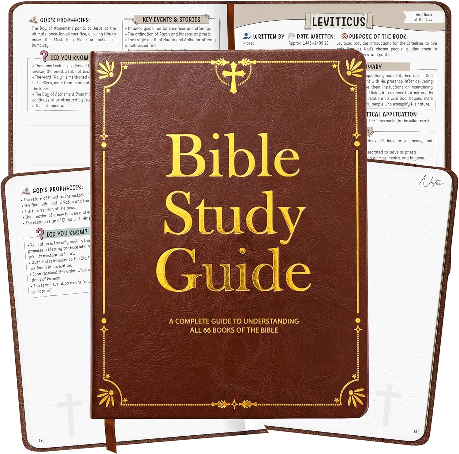 Bible Study Guide for Women & Men – Beginner-Friendly Study of All 66 Books with Life Application & Reflection Notes | Premium Lay-Flat Hardcover Devotional Journal