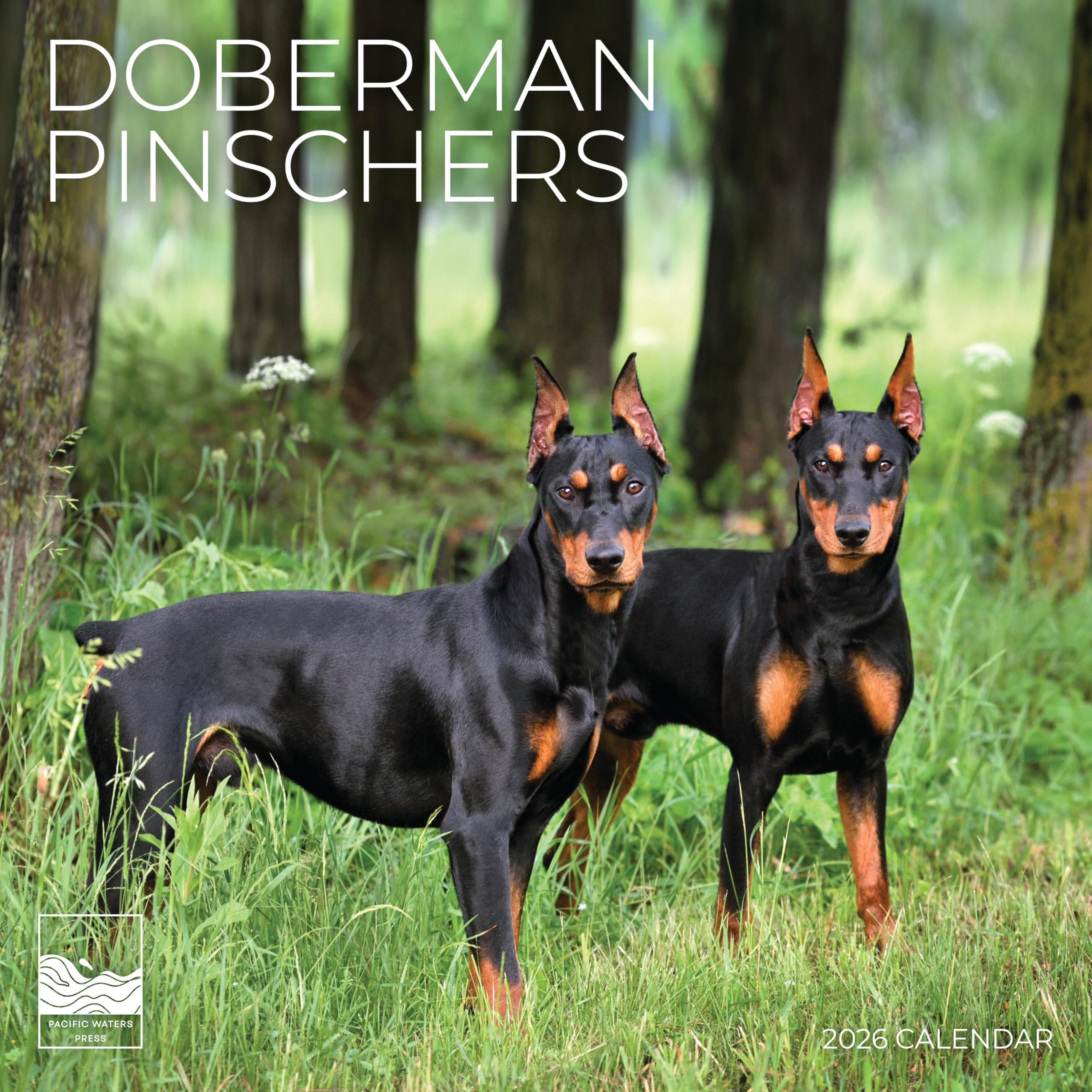 2026 Doberman Pinschers Wall Calendar | 12" x 24" Open | Giftable | Dog Calendar 2026 | Thick & Sturdy Paper for Calendar Organizing & Planning |