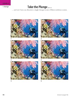 Brain Games - Picture Puzzles #2: How Many Differences Can You Find?