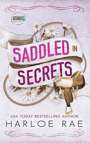 Saddled in Secrets: A Grumpy Bodyguard Small Town Standalone Romance