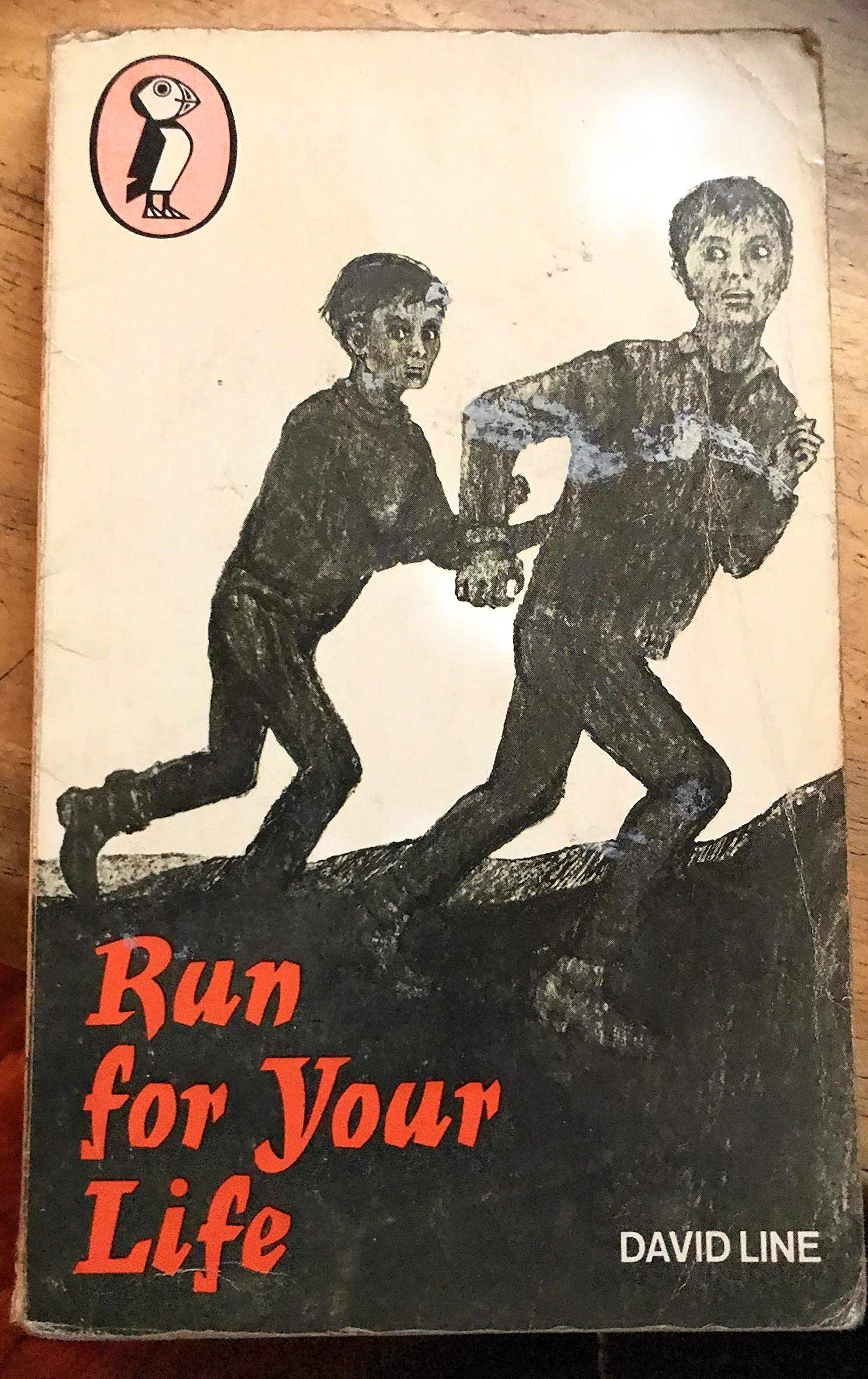 Run For Your Life (Puffin Books)