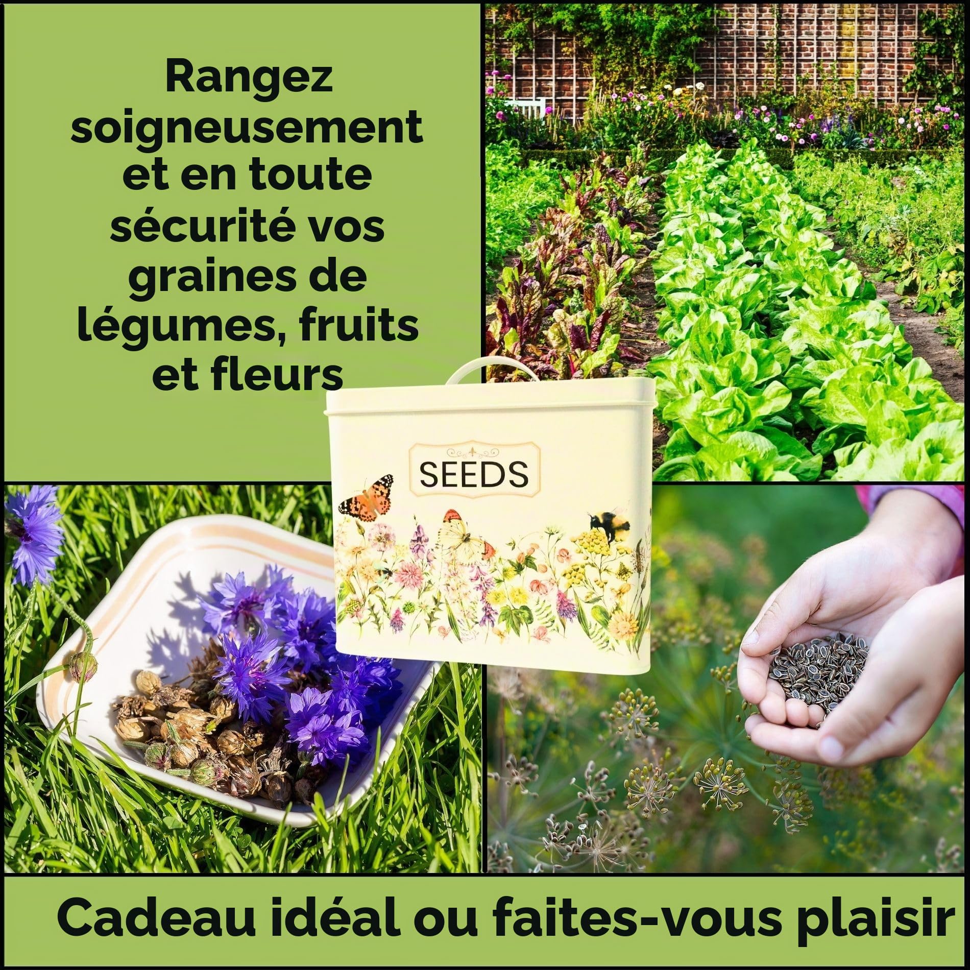Evanmore Boîte de rangement en métal pour semences de jardin, boîte cadeau avec séparateurs, enveloppes, couvercle, crayon, 100 % sans plastique, cadeau de jardinage respectueux de l'environnement