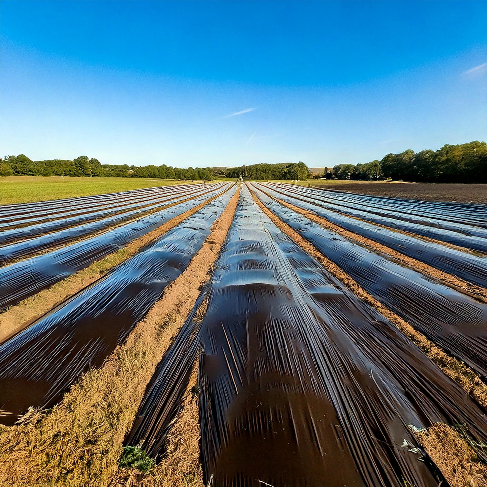 A2ZWORLD Lona antihierba 5 x 2 m x 10 m, 100 m², transpirable, permeable, de polipropileno, resistente a los rayos UV, fácil de cortar e instalar, ecológica contra las malas hierbas
