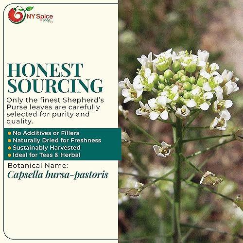 Miniatura 5 de NY Spice Shop Shepherd's Purse Herb  Hierbas cortadas y tamizadas de 4 onzas  Capsella Bursa-Pastoris para té de hierbas de hojas sueltas  Hierbas