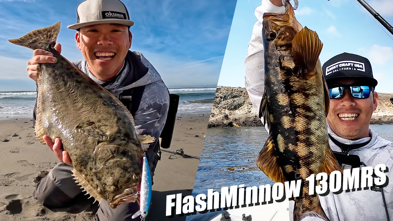 Amazon.com : LUCKY CRAFT FlashMinnow 130MRS Saltwater Fishing