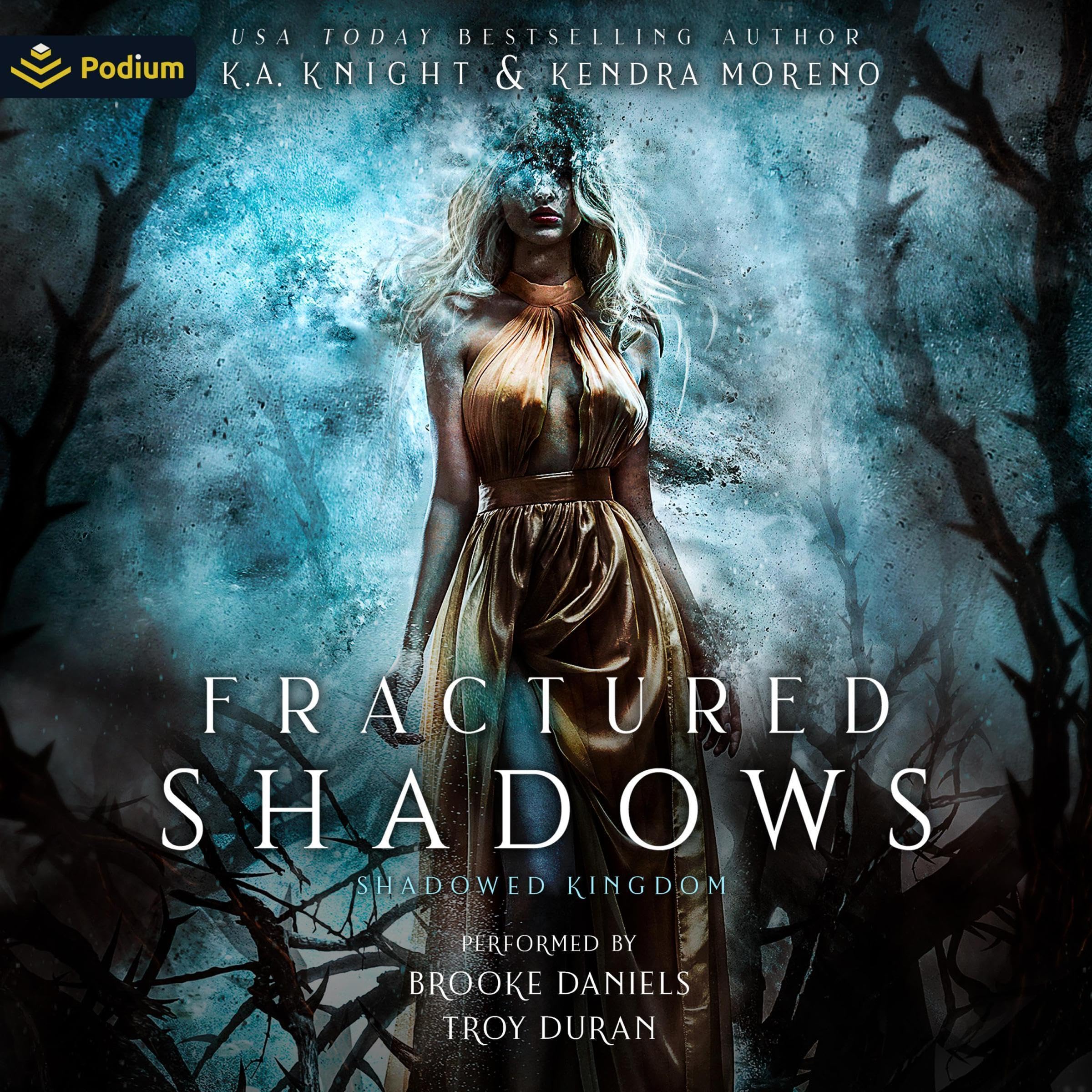 Cover art for Fractured Shadows