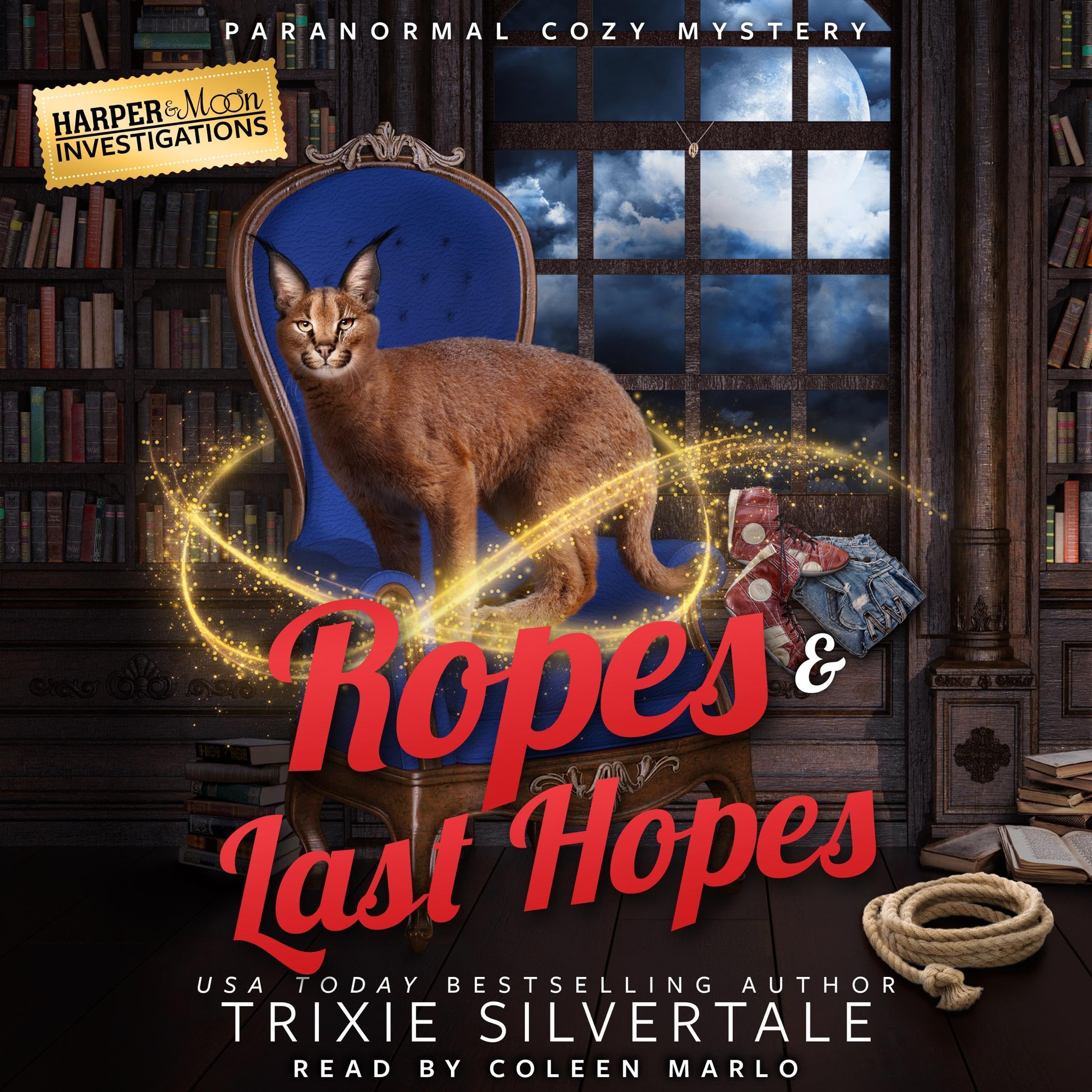 Cover art for Ropes and Last Hopes