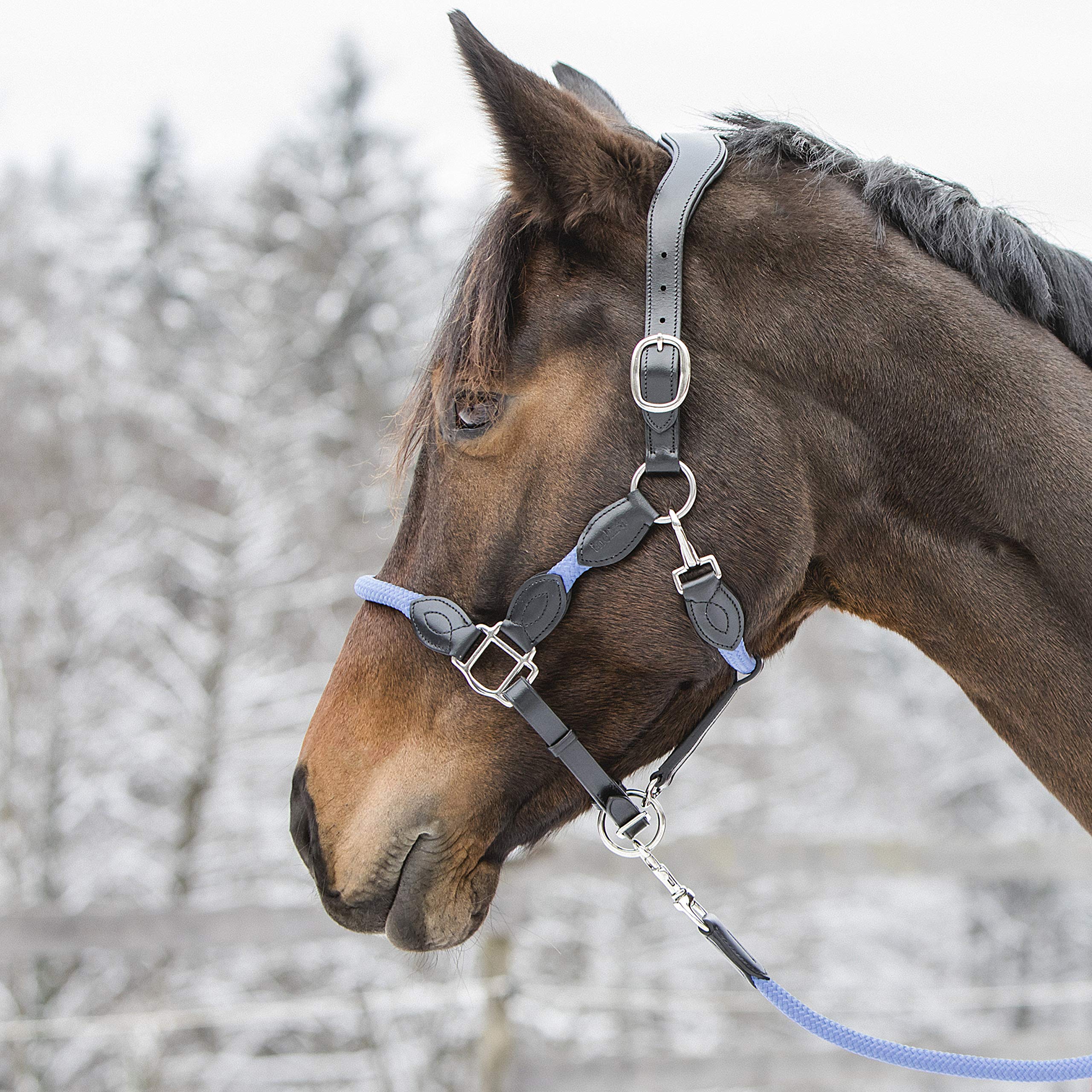 indira Seil-Leder-Halfter pro PP-Echtleder (Pony, Blau 01)
