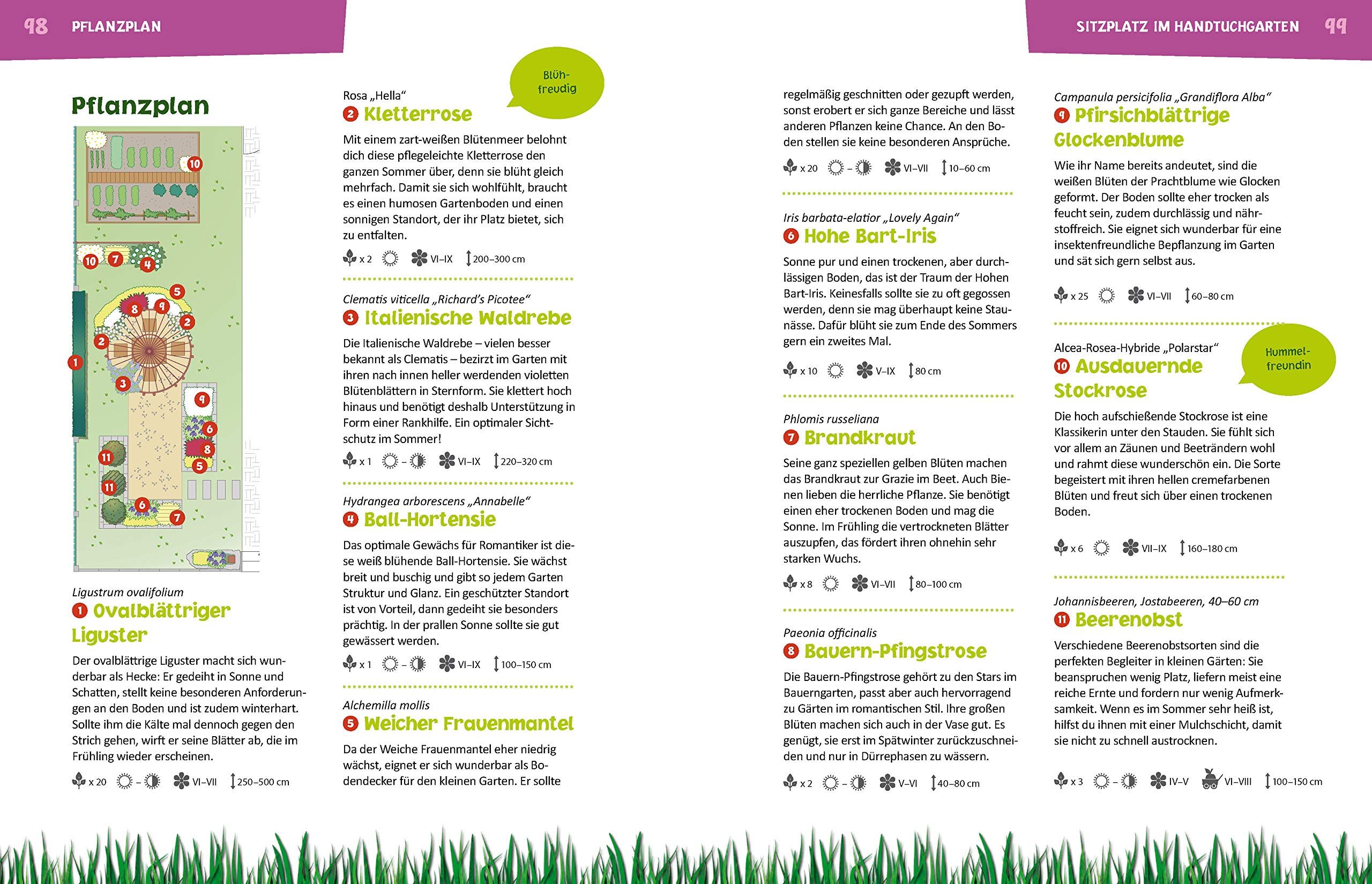 Mini Garten - maxi Freude! ab ins Beet! die Garten-Soap: Den Gartenparadies zum Wohlfühlen