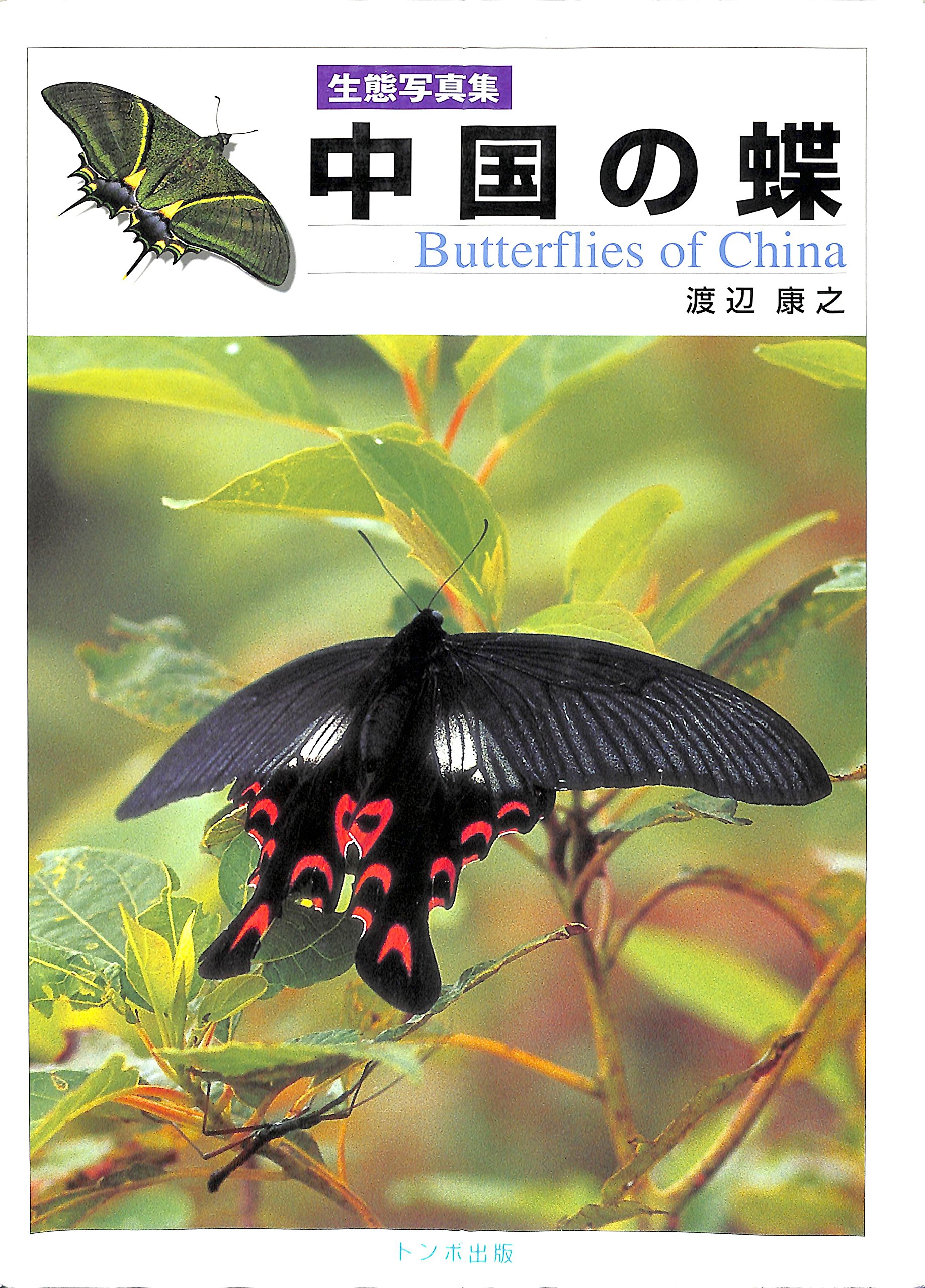 中国の蝶と自然 91lG1l5yVoL.jpg