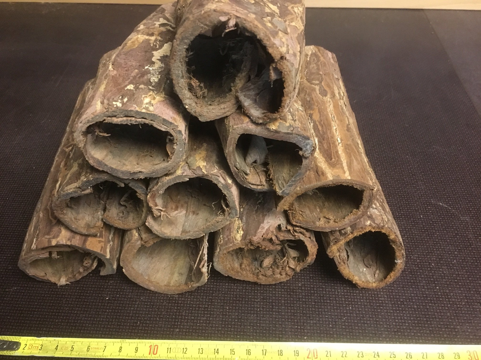 2 grandes cuevas de la arma milagrosa árbol de almendro indio para conocedores (Ø ~ 3 – 4 cm, longitud 15 – 20 cm, más de 100 g) decoración para acuario, purificador de agua, tubos Catappa Bark