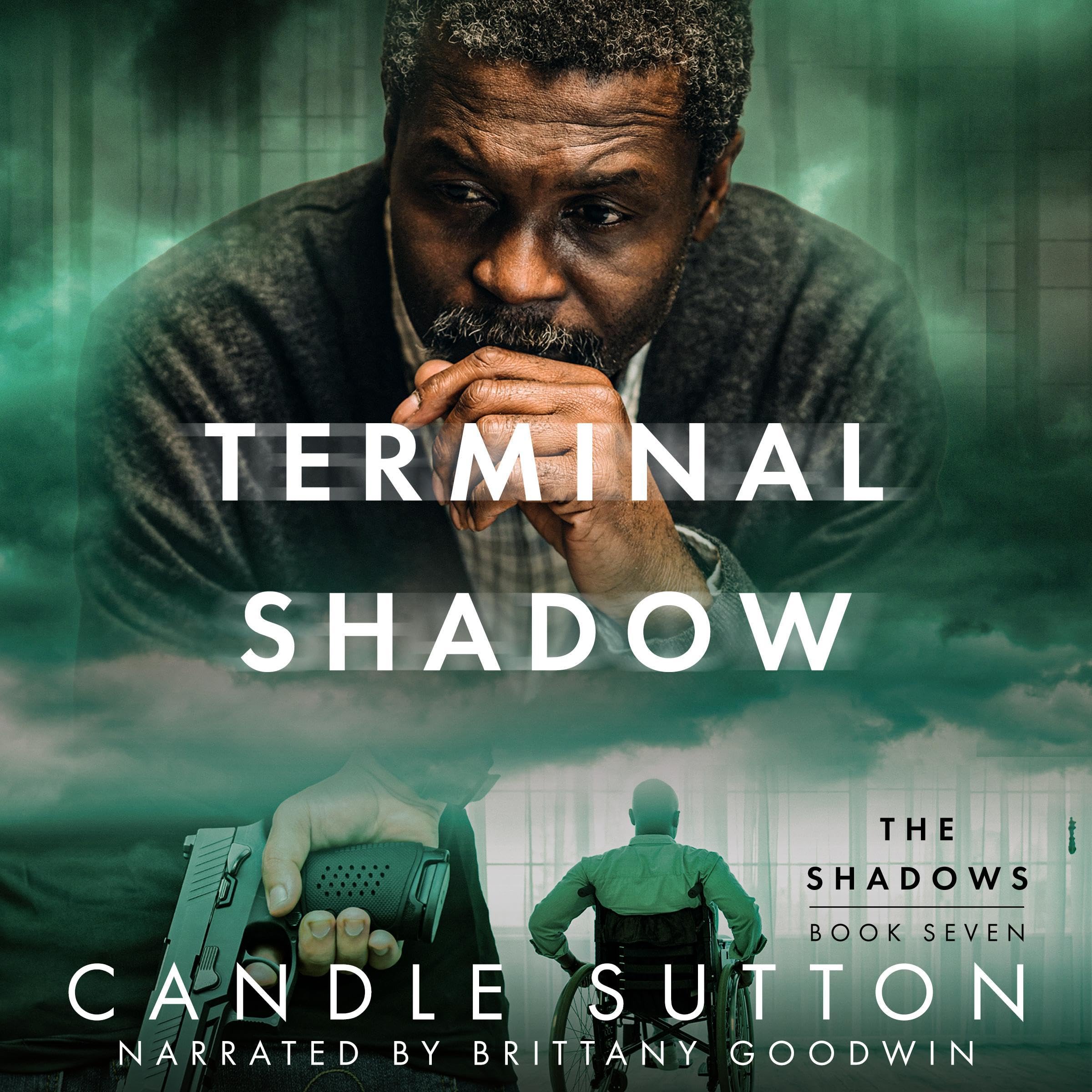 Cover art for Terminal Shadow