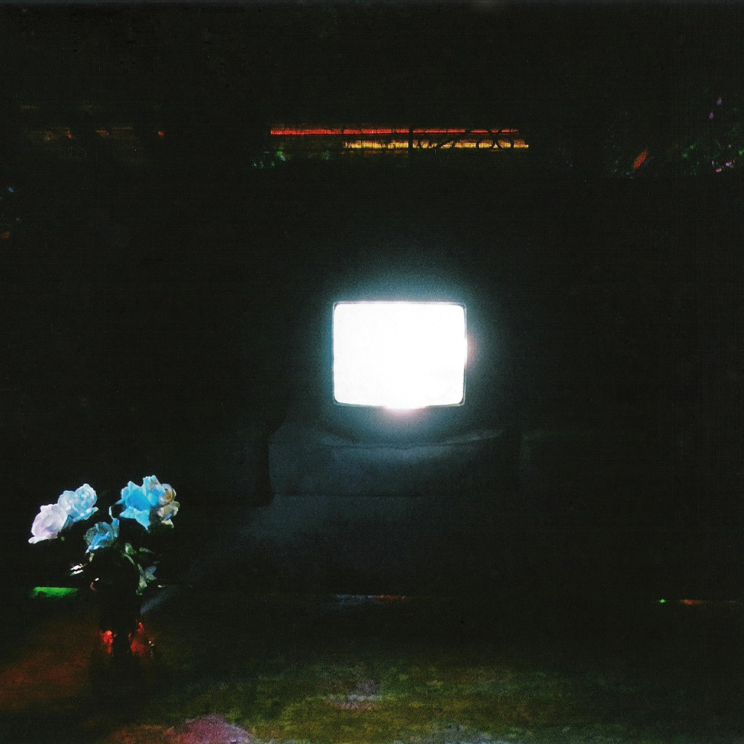 DOES IT LOOK LIKE I'M HERE? [VINYL]