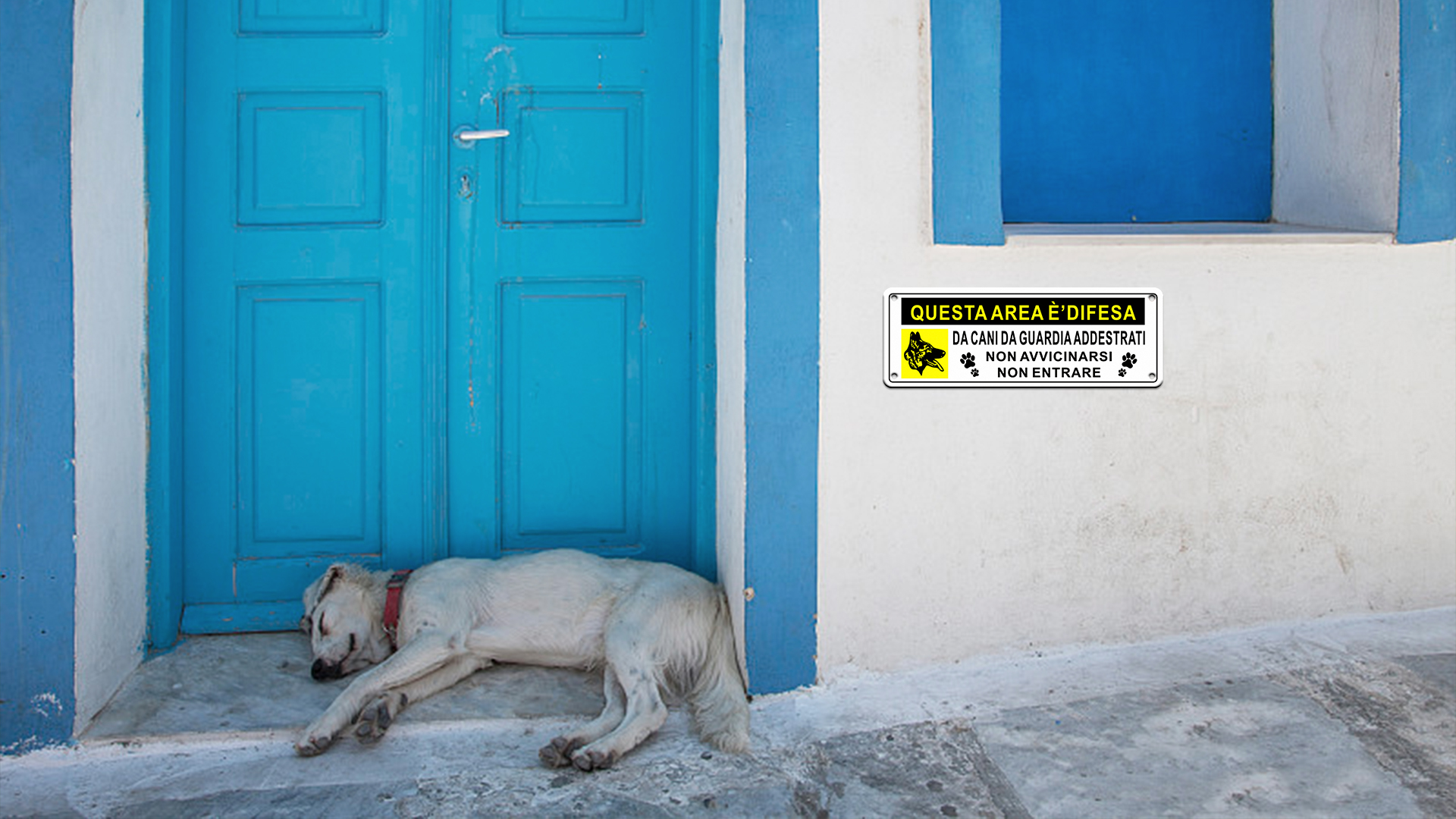 Cartello 'attenzione Quest'area è Difesa Da Cani Da Guar... - SEG 8509 - Foto 3