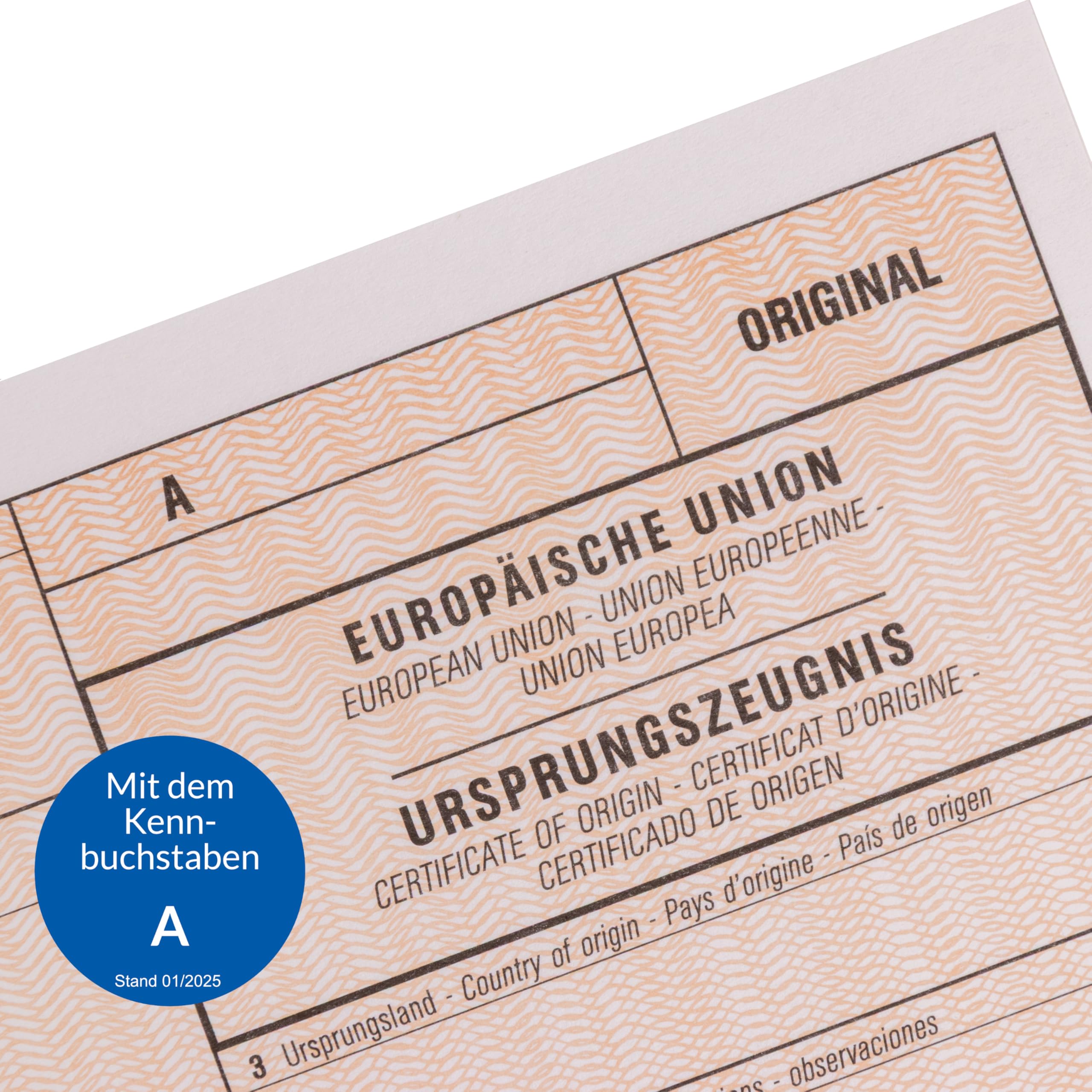 MASHPAPER Elektronisches Ursprungszeugnis IHK Formular Vordruck 1-fach ohne Lfd-Nr für Laser- und Inkjetdrucker 100 Stück