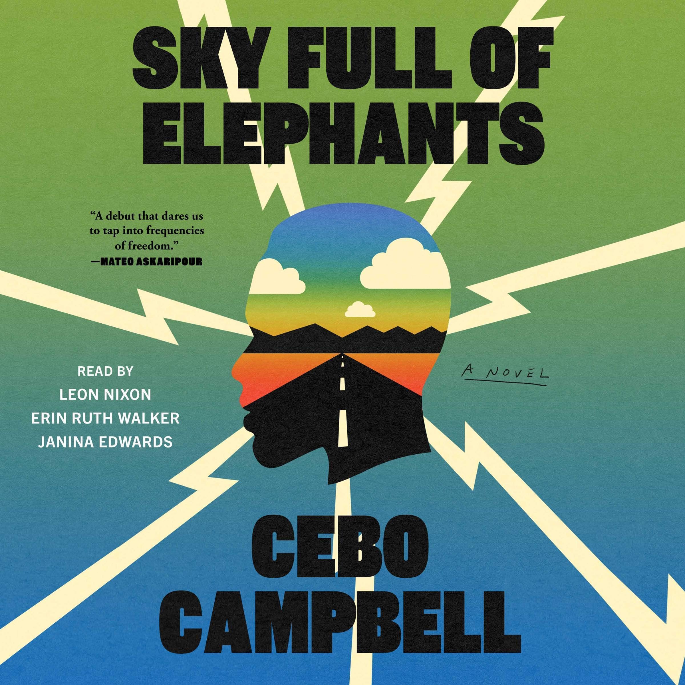 Cover art for Sky Full of Elephants