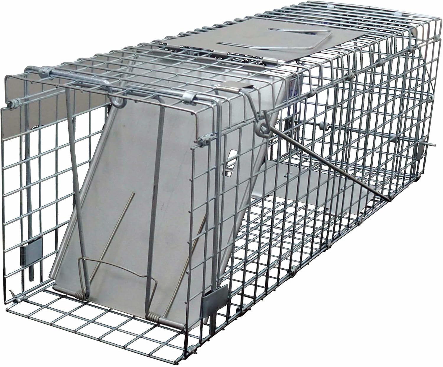 Humane Squirrel Trap, Heavy Duty Metal Trap for Live Release Amazon.co.uk Garden