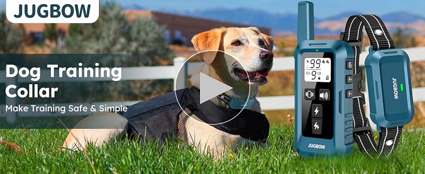 Amazon.com: Jugbow Dog Shock Collar 2 Dogs - 4200FT Dog