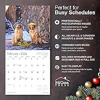 Vista 2 de MICASA PRESS Golden Retrievers 2026 - Calendario de pared de 12 meses, 12 x 24 pulgadas, abierto, papel grueso y resistente, para regalo, lindo