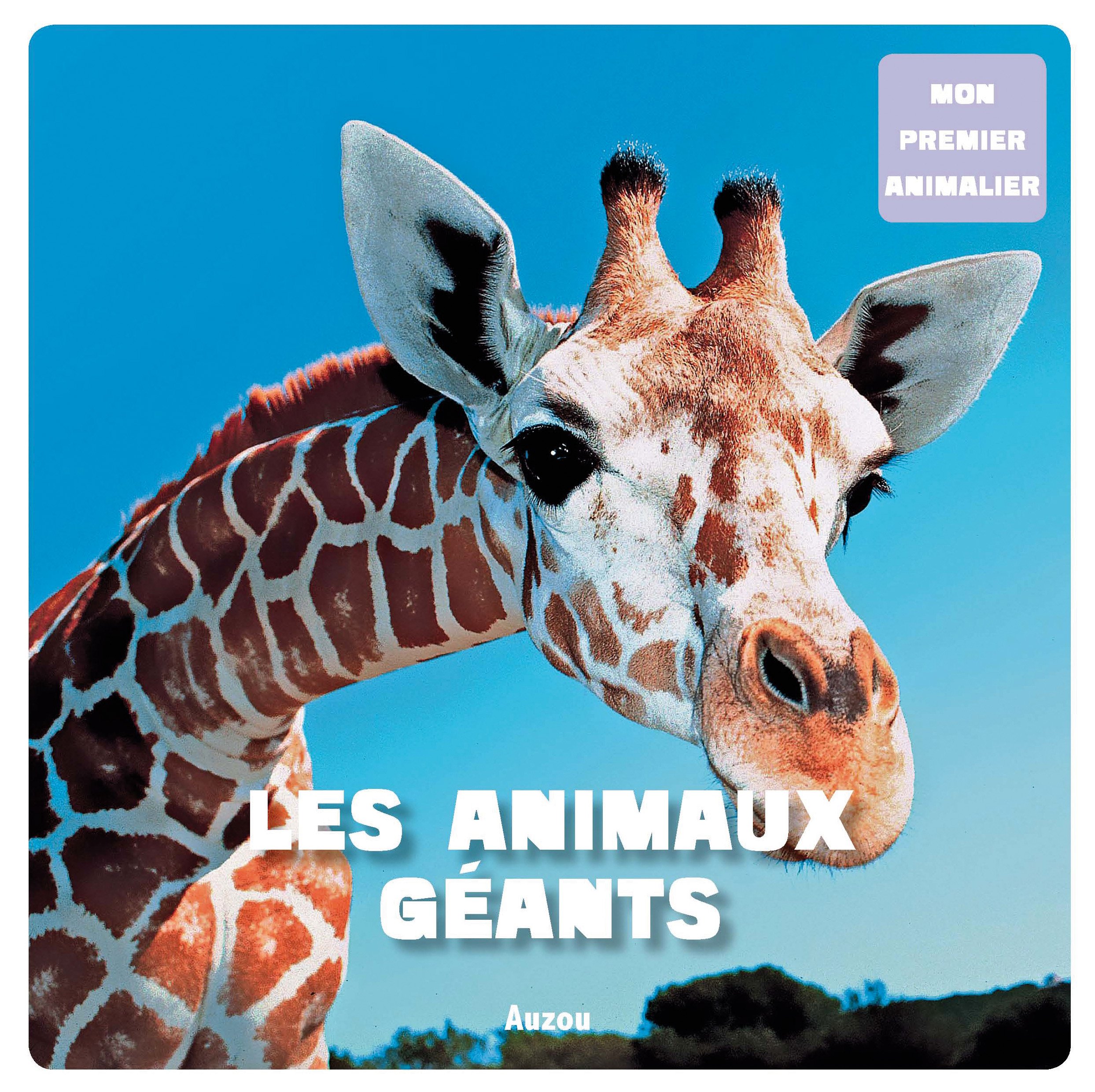 Le Coup De La Girafe Des Savants Dans La Savane