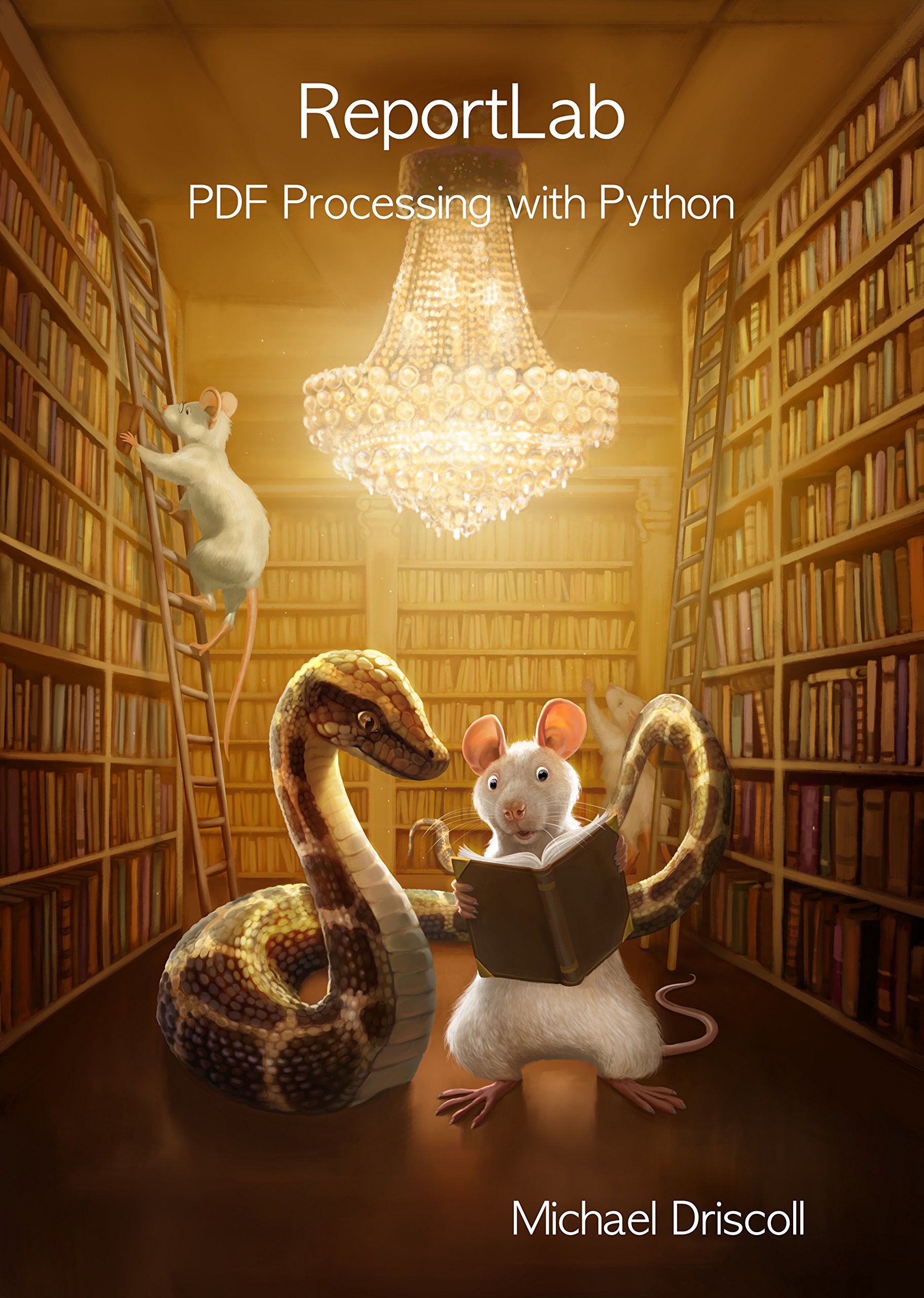 ReportLab: PDF Processing with Python Kindle Edition