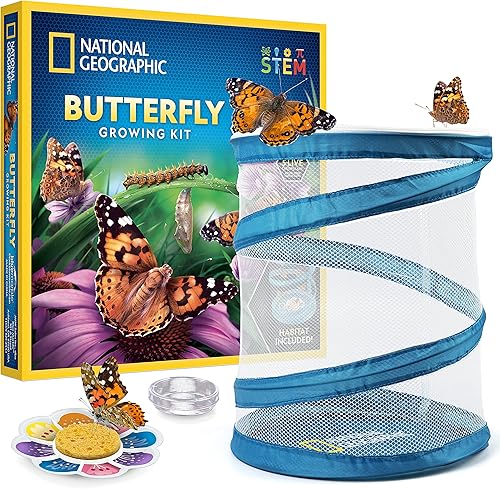 NATIONAL GEOGRAPHIC Kit de cultivo de mariposas, kit de hábitat de mariposa con cupón para canjear 5 orugas, jaula de mariposa, alimentador,