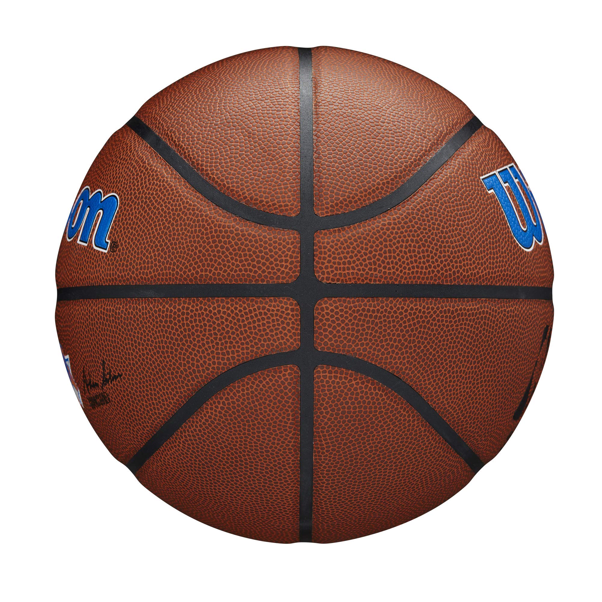 Wilson NBA Team Autogramm Mini Basketball