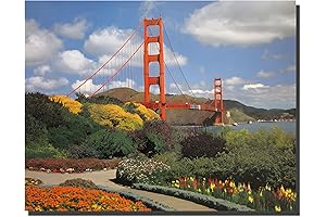 San Francisco Art Vintage Golden Gate Bridge Poster (16x20)