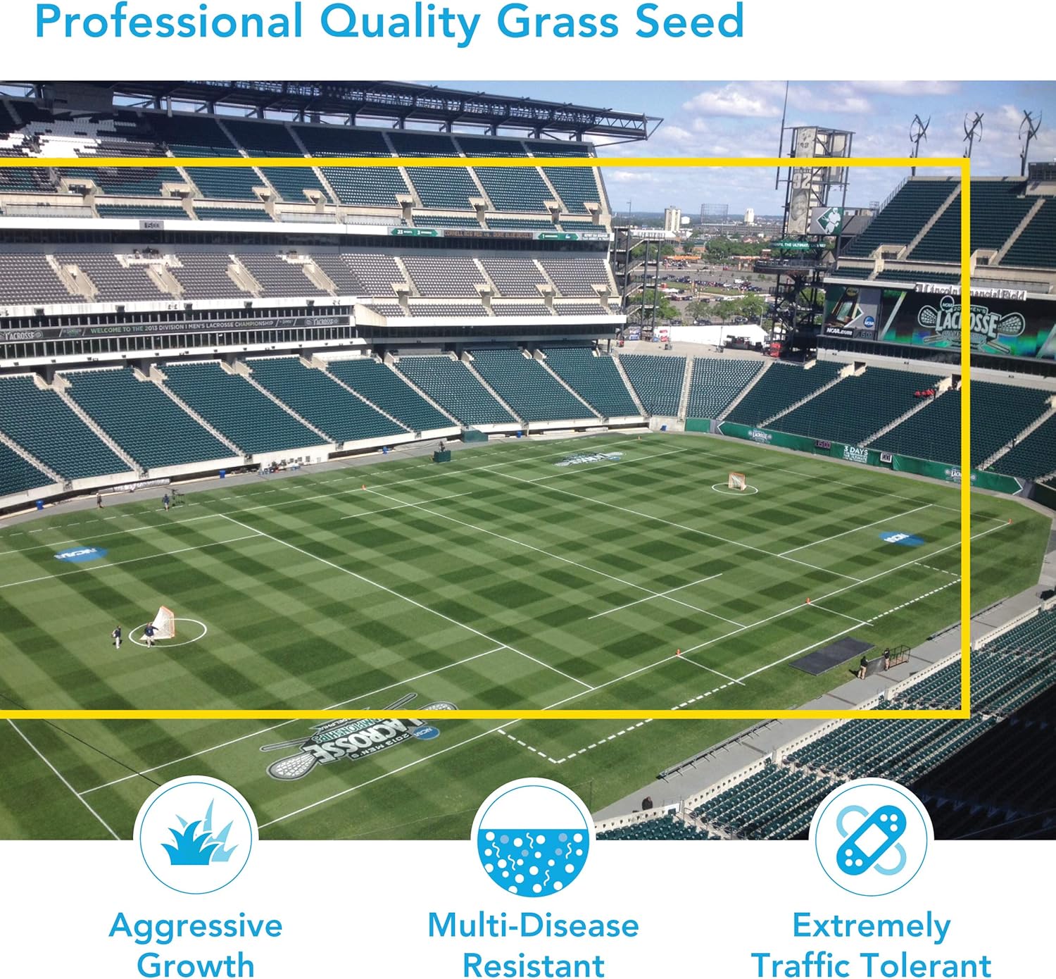 Barenbrug Turf Blue Healthy Grass Technology Grass Seed with Yellow Jacket Coating - Heavy Traffic Seed for Use on Sports Fields, Golf Courses, Parks, Lawns, and Yards, Yellow (25 LB Bag)