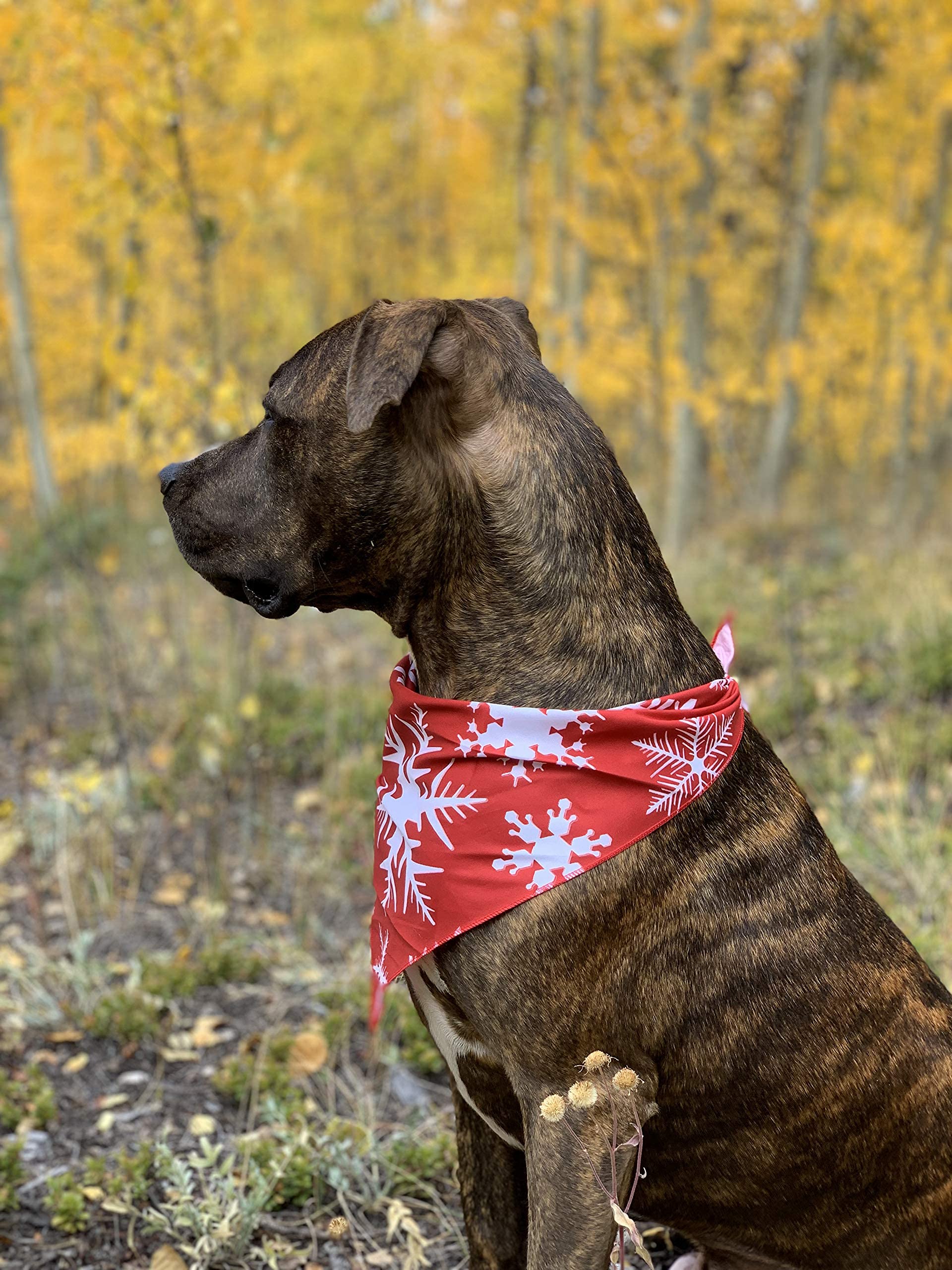 Bandana de Navidad para perro, paquete de 3, pañuelo de invierno (paquete de 2, grande)
