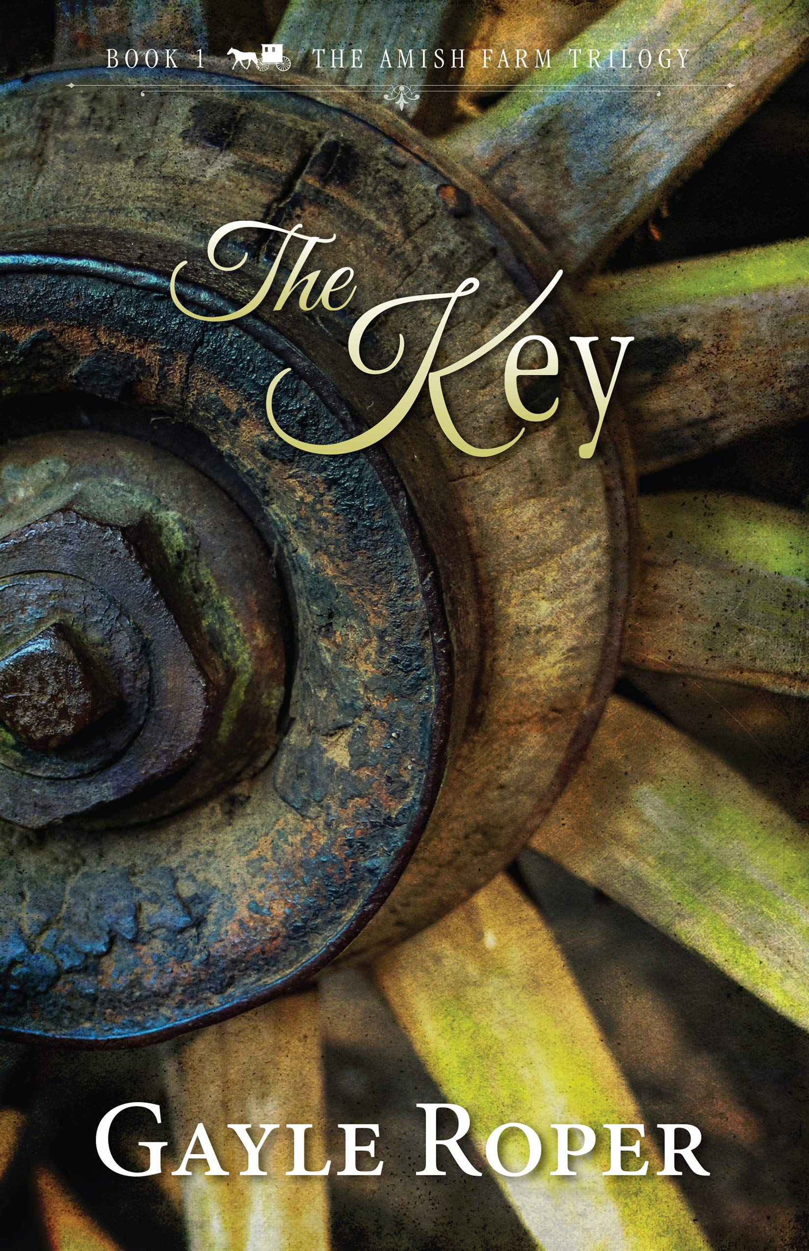 Gayle RoperThe Key: 1 (The Amish Farm Trilogy)