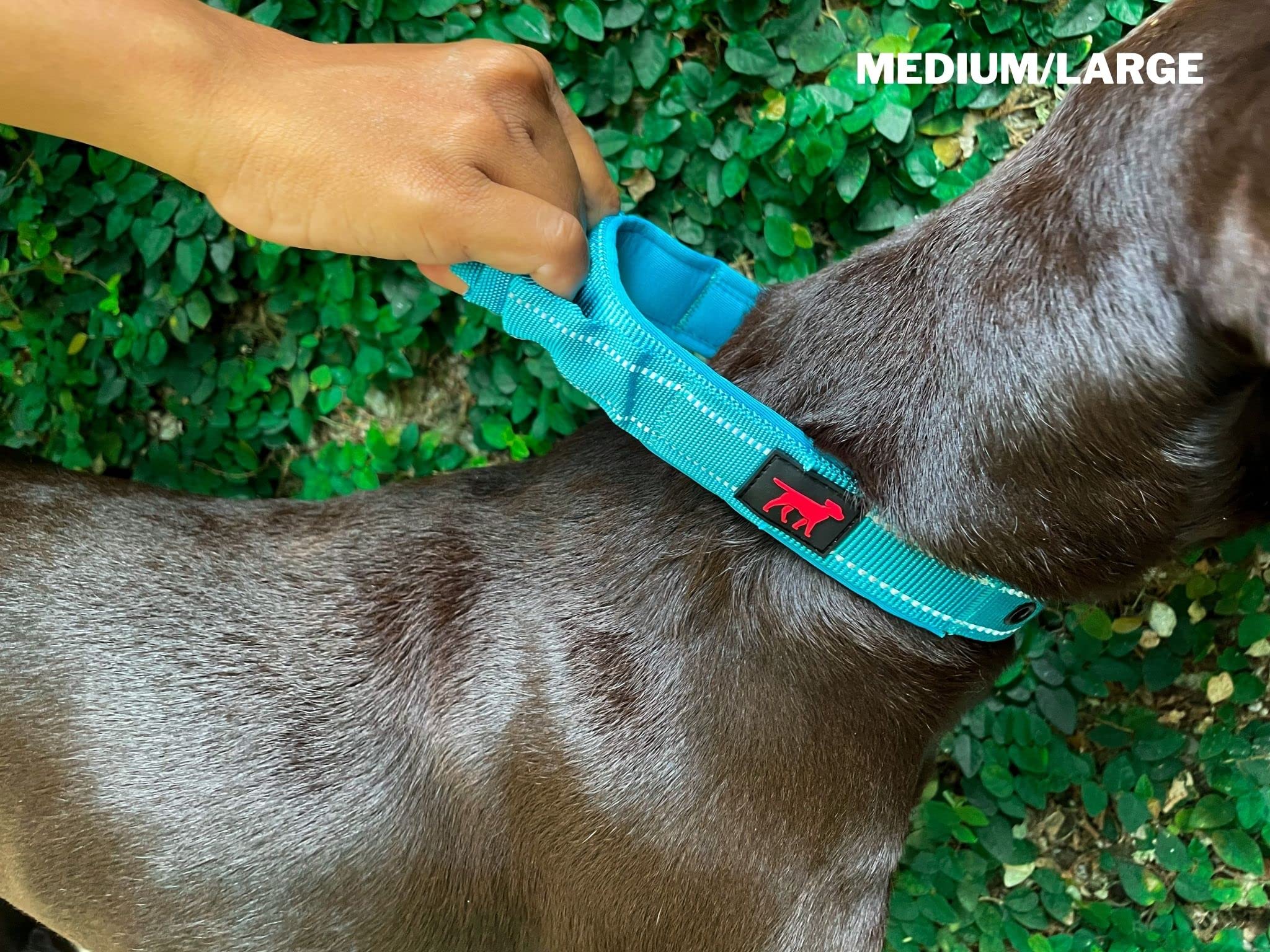 Collare per cani resistente Tuff Pupper con manico | Collare resistente in nylon balistico | Collare per cani riflettente imbottito con hardware regolabile in acciaio inossidabile