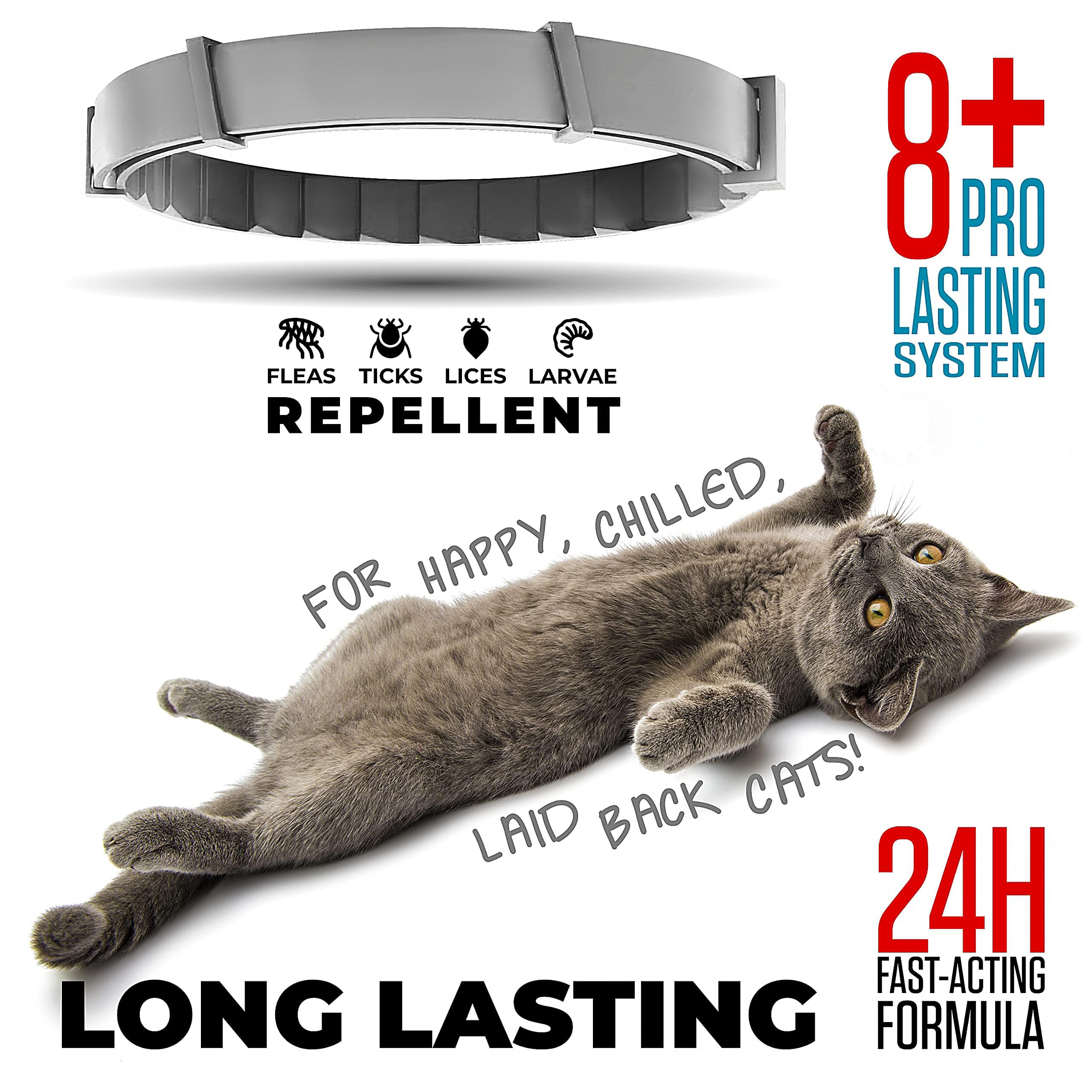 4 Collares antiparasitarios para Perros y Gatos, 38CM 8 Meses de protección, Collar antipulgas para Perros y Gatos, Ajustable, Collar antipulgas para Todos los Dog Cats