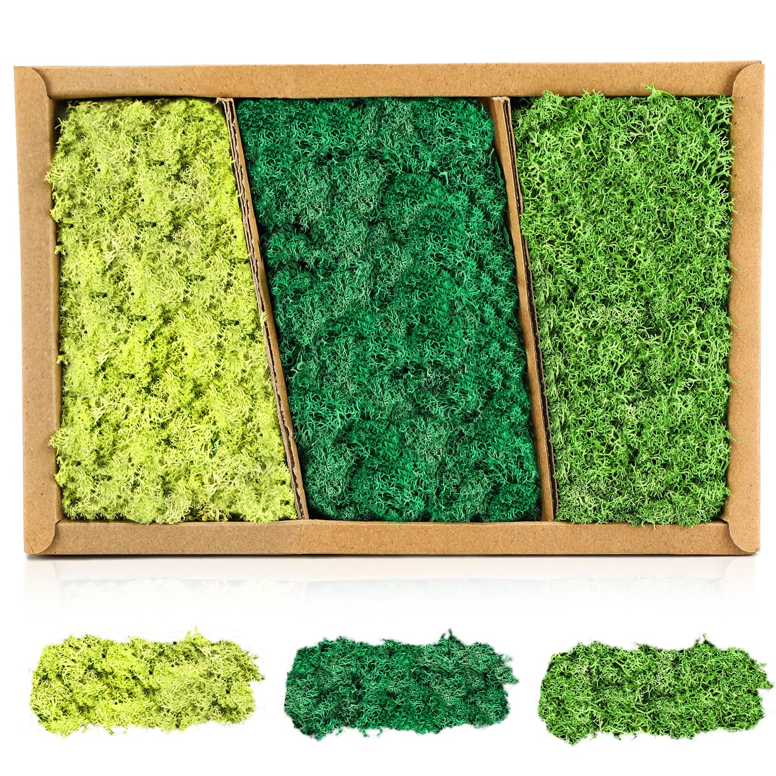 Muschio Islandese, Verde, 200 G, Vero Muschio Naturale, Utilizzabile Per Lavori Artigianali, Modellismo, Decorazioni Da Giardino, Ecc. | Leroy Merlin