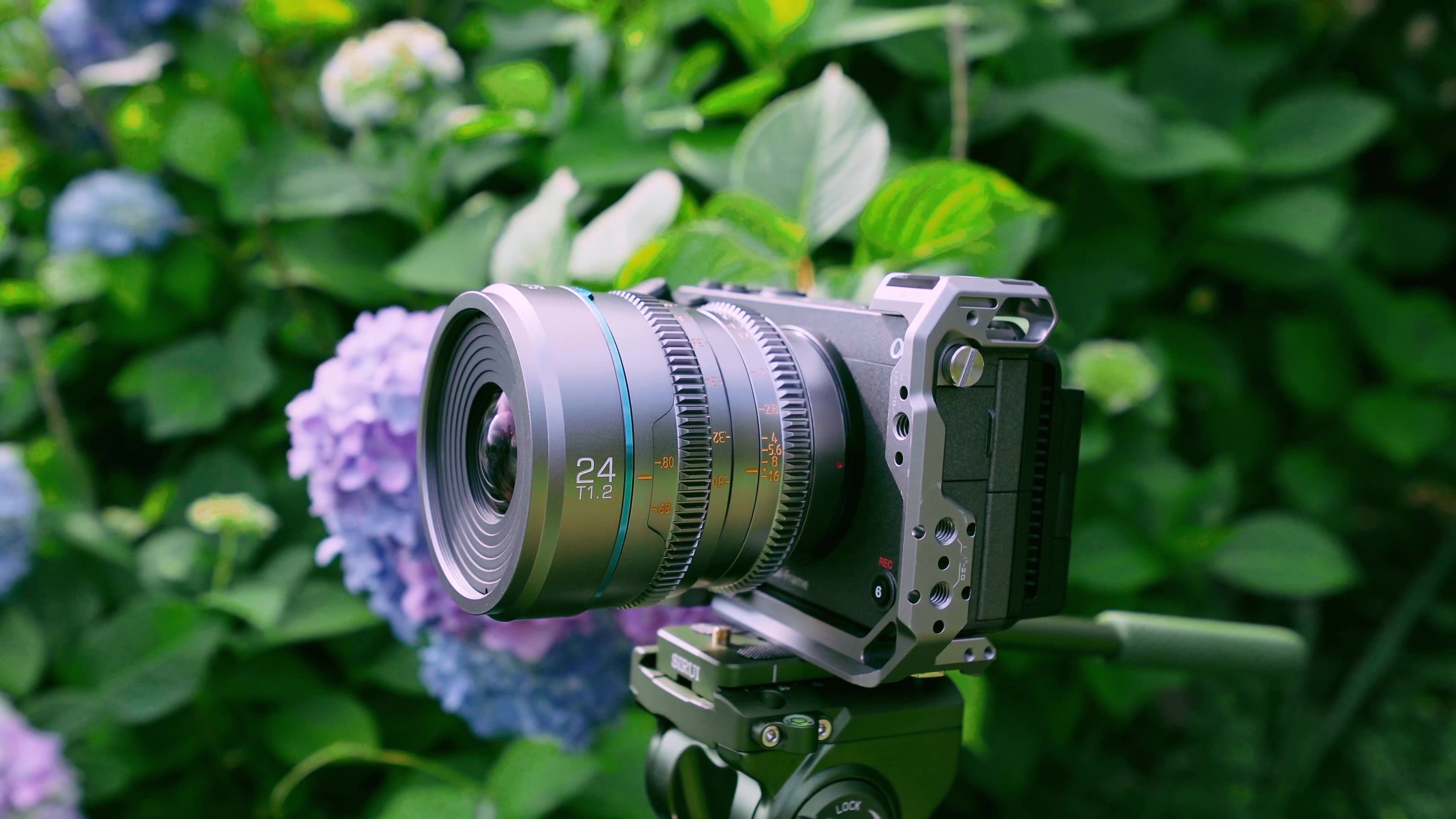 Amazon.co.jp: SIRUI Night Walker 24mm T1.2 シネレンズ 大口径