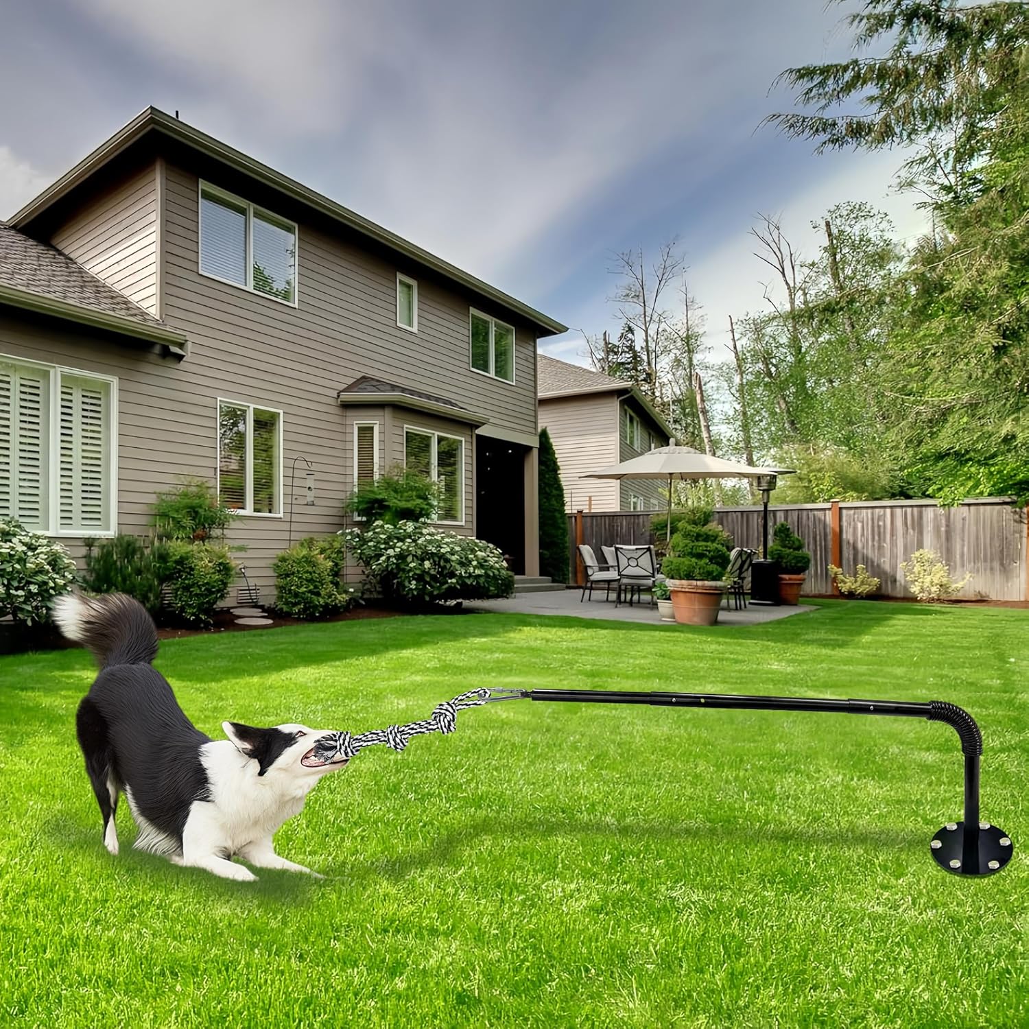 Tether Tug Outdoor Dog Toy, Interactive Exercise Game in Yard, Tether Tug with 2 Rope Toy and Bell for Large Medium Small Dog, Pull Chase and Tug of War