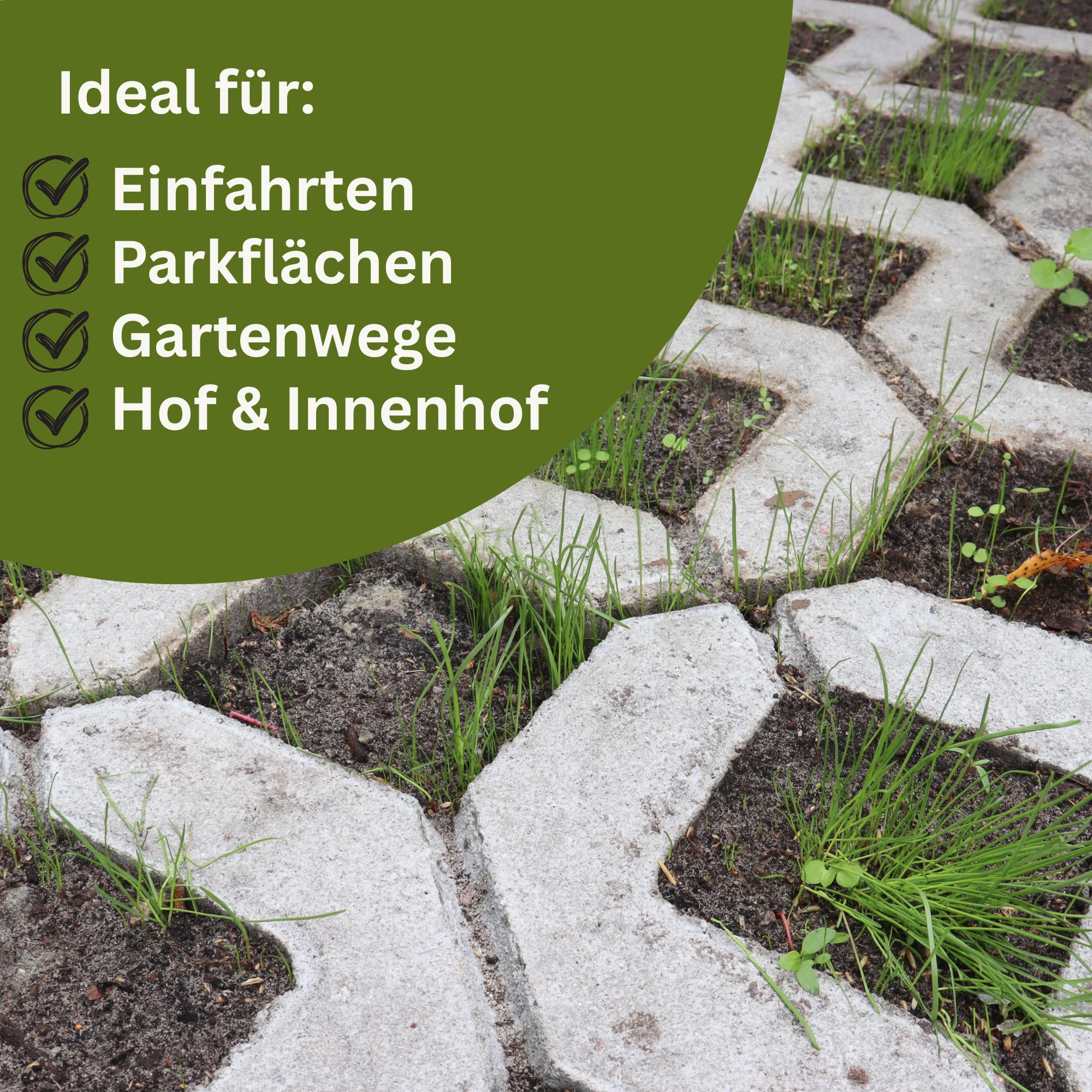 Samenshop24® DSV 530 Schotterrasen, Parkplatzrasen, Zufahrtsrasen- Begrünung (1 kg)