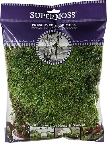 SuperMoss - Musgo decorativo preservado., Verde fresco