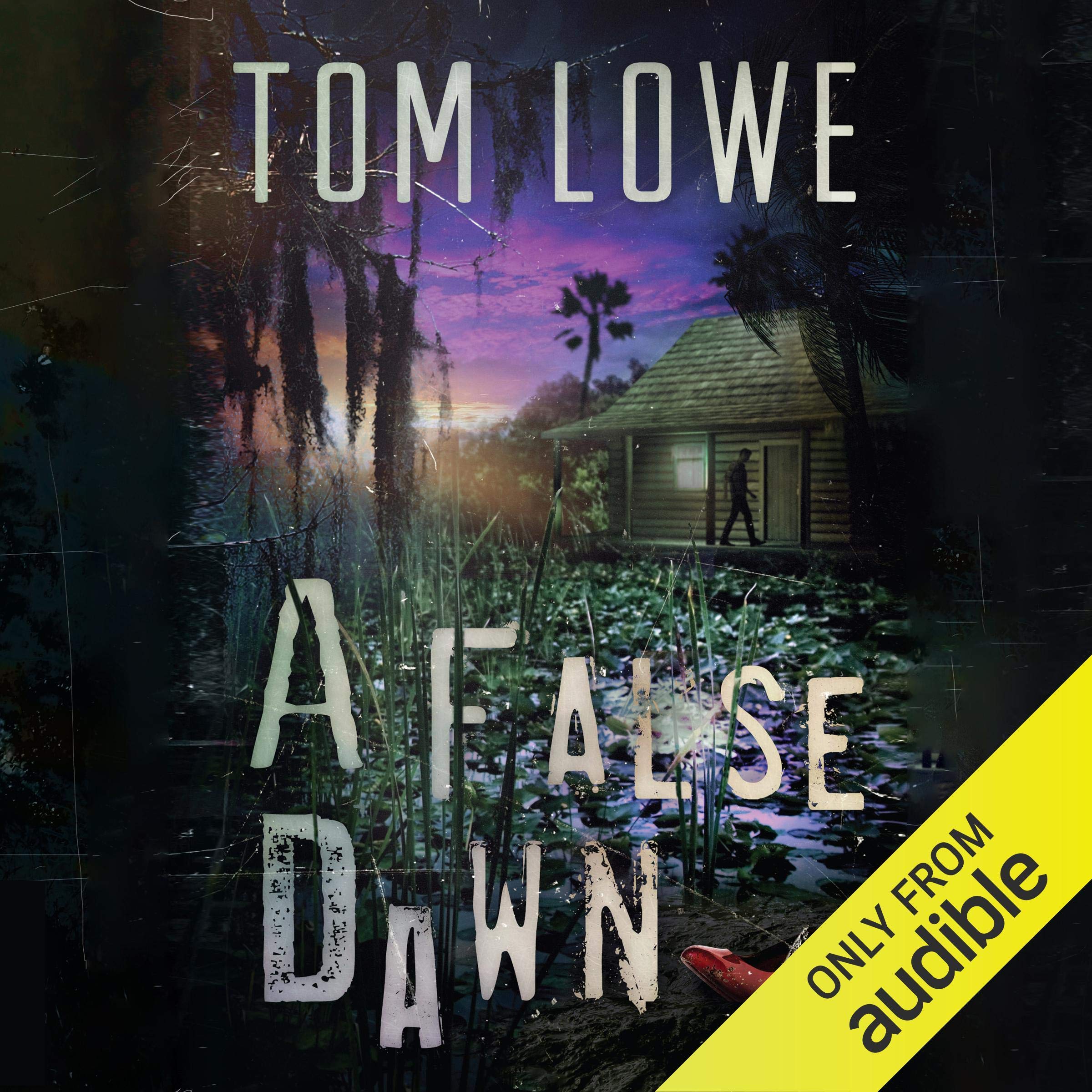 Cover art for A False Dawn