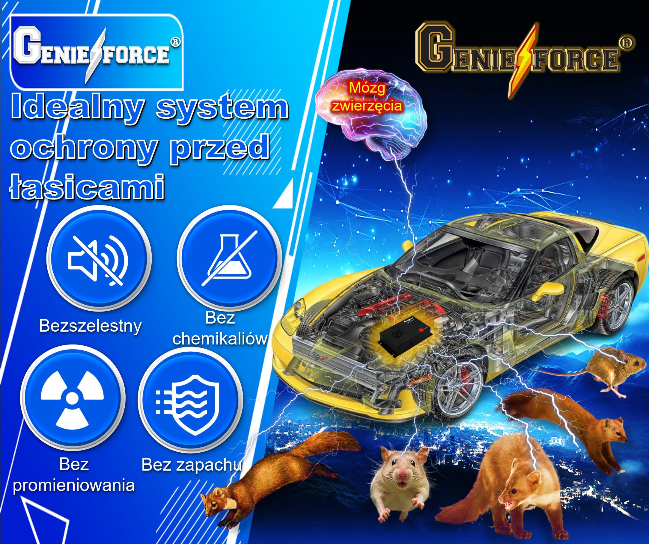 Genieforce® GF-SK-2R odstraszacz kun, zasilany bateriami, ultradźwiękowy odstraszacz kun, mobilna ochrona samochodu, domu, ogrodu, na strych; GF-SK-2R