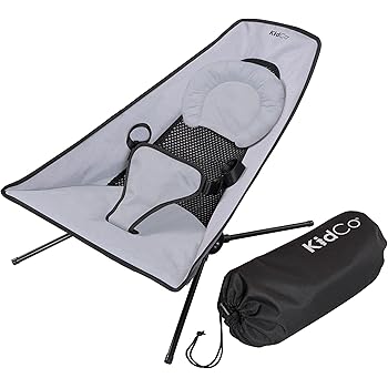 baby bjorn bouncer transport bag